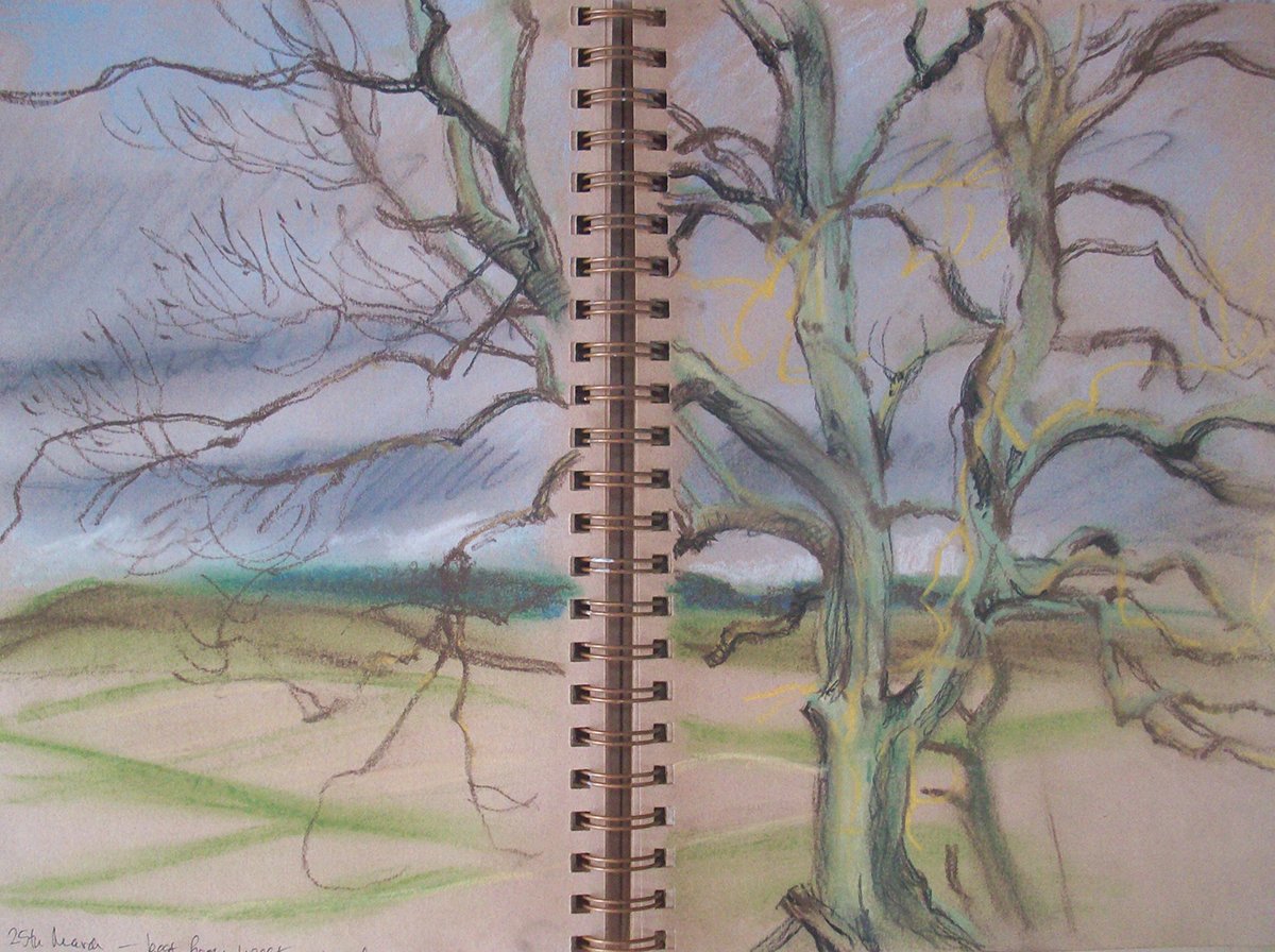 Kate Chitham_25.3.25 Ash top of the hill.jpg