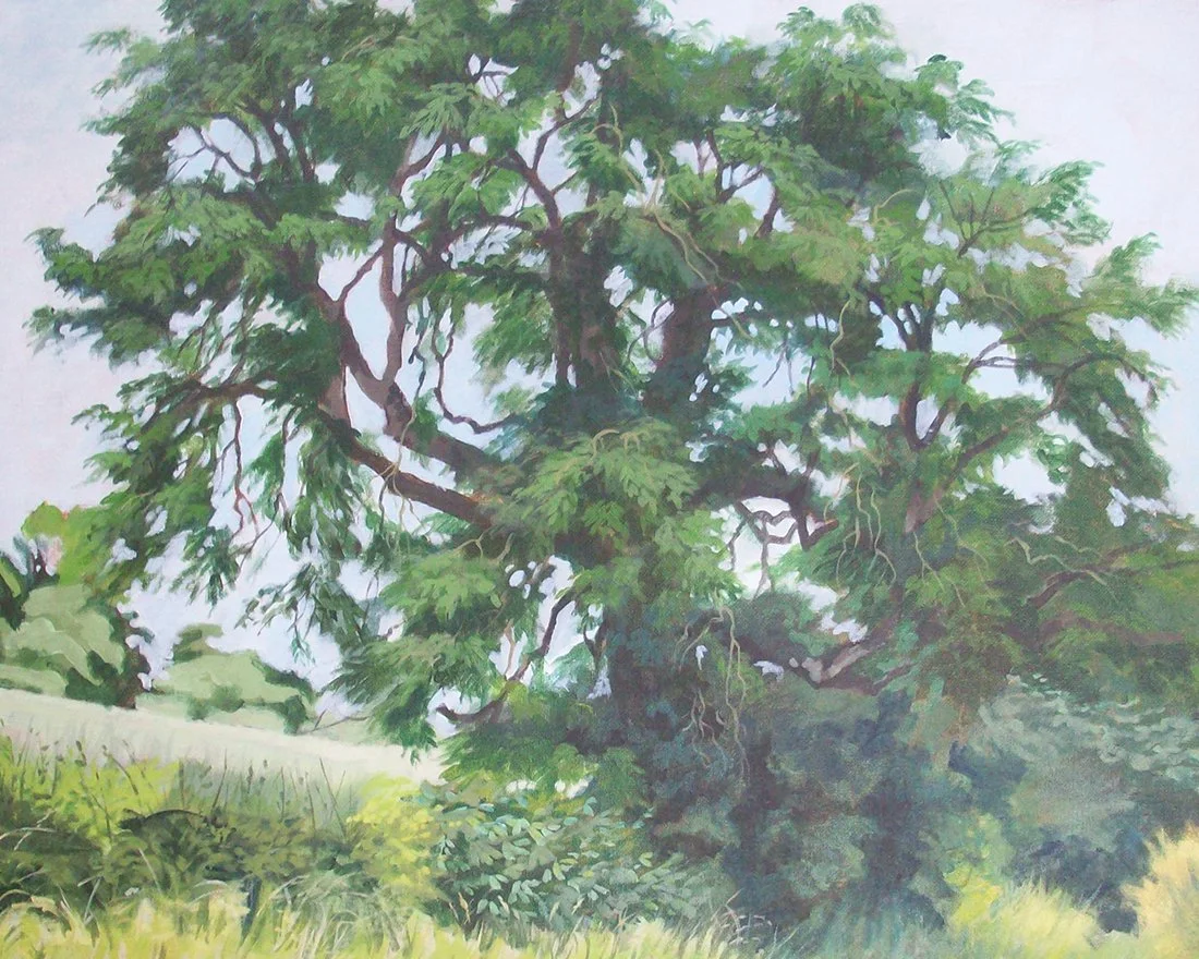 Kate Chitham_Ash Long Lane, Edgton.jpg