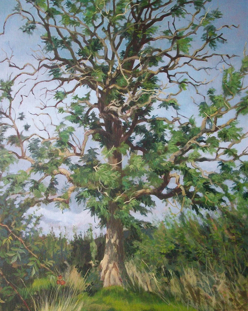 Kate Chitham_Ash - Green Lane Barns Farm.jpg