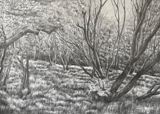 PU pencil Inside Dartmoor.jpeg