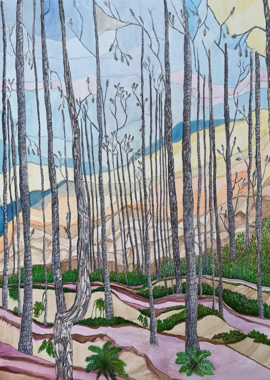 Mahesh, Raji.Himalayan Fir Tree.Watercolour, Pencils and Pens.jpeg
