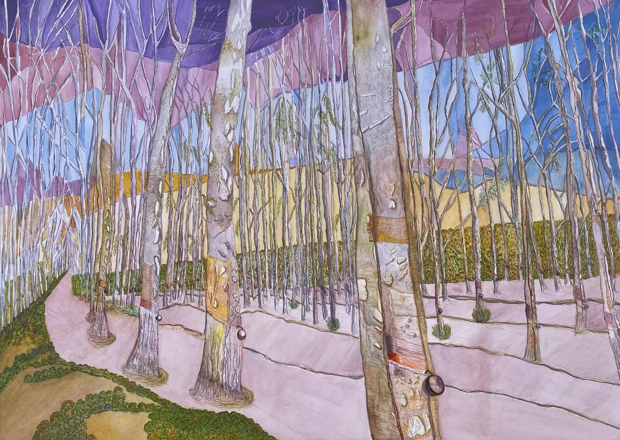 Raj Mahesh, Rubber Tree. .jpeg