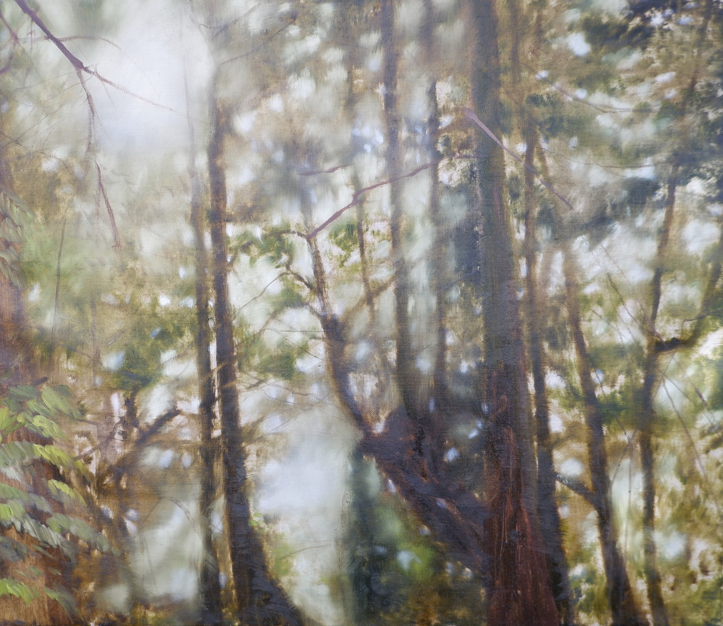 Forest Bathing H 72cm x W 82cm Oil on linen  copy.jpeg
