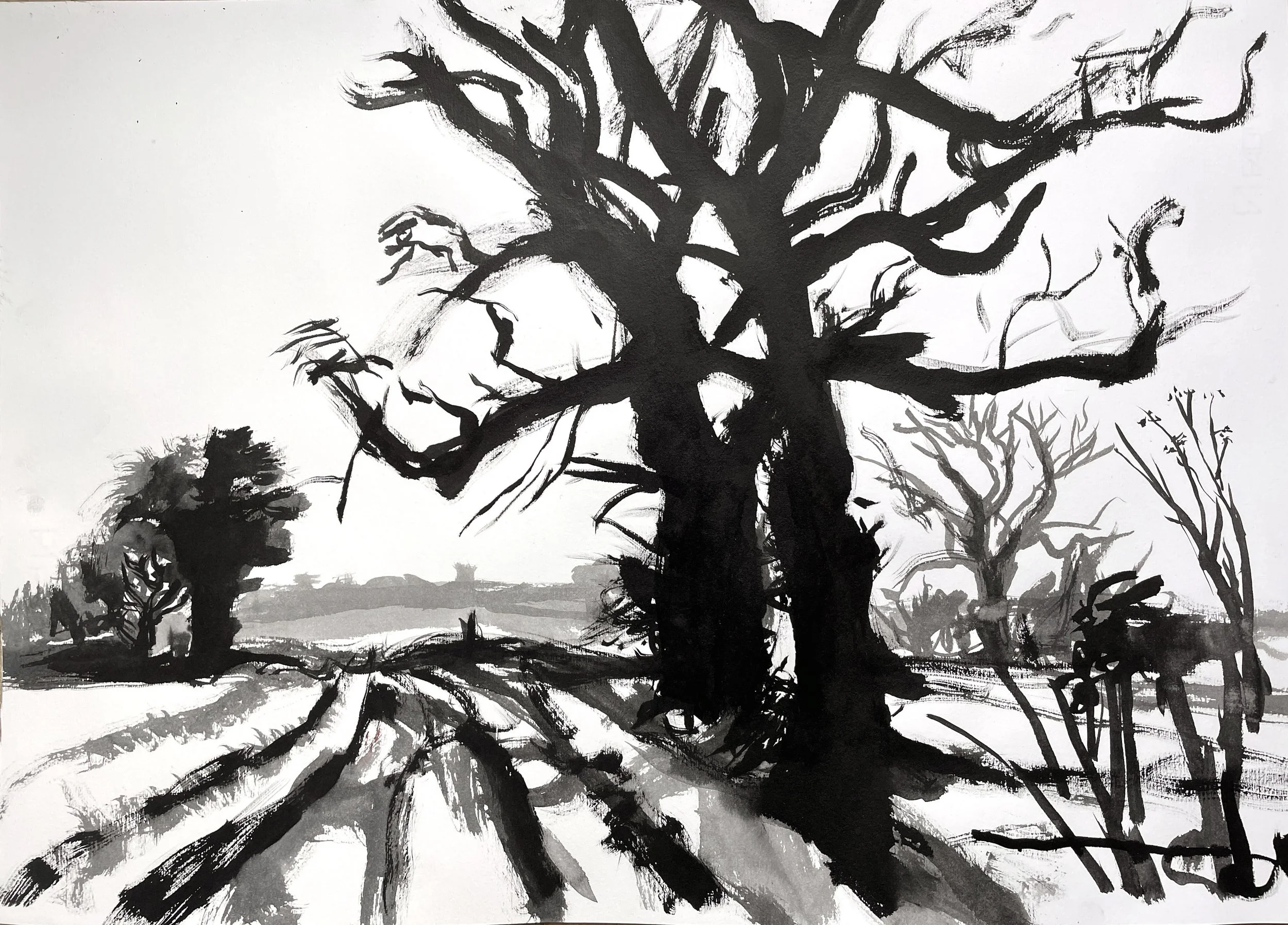 Wymondham Oak Lane- ink on paper 56x72cms  (1).jpg