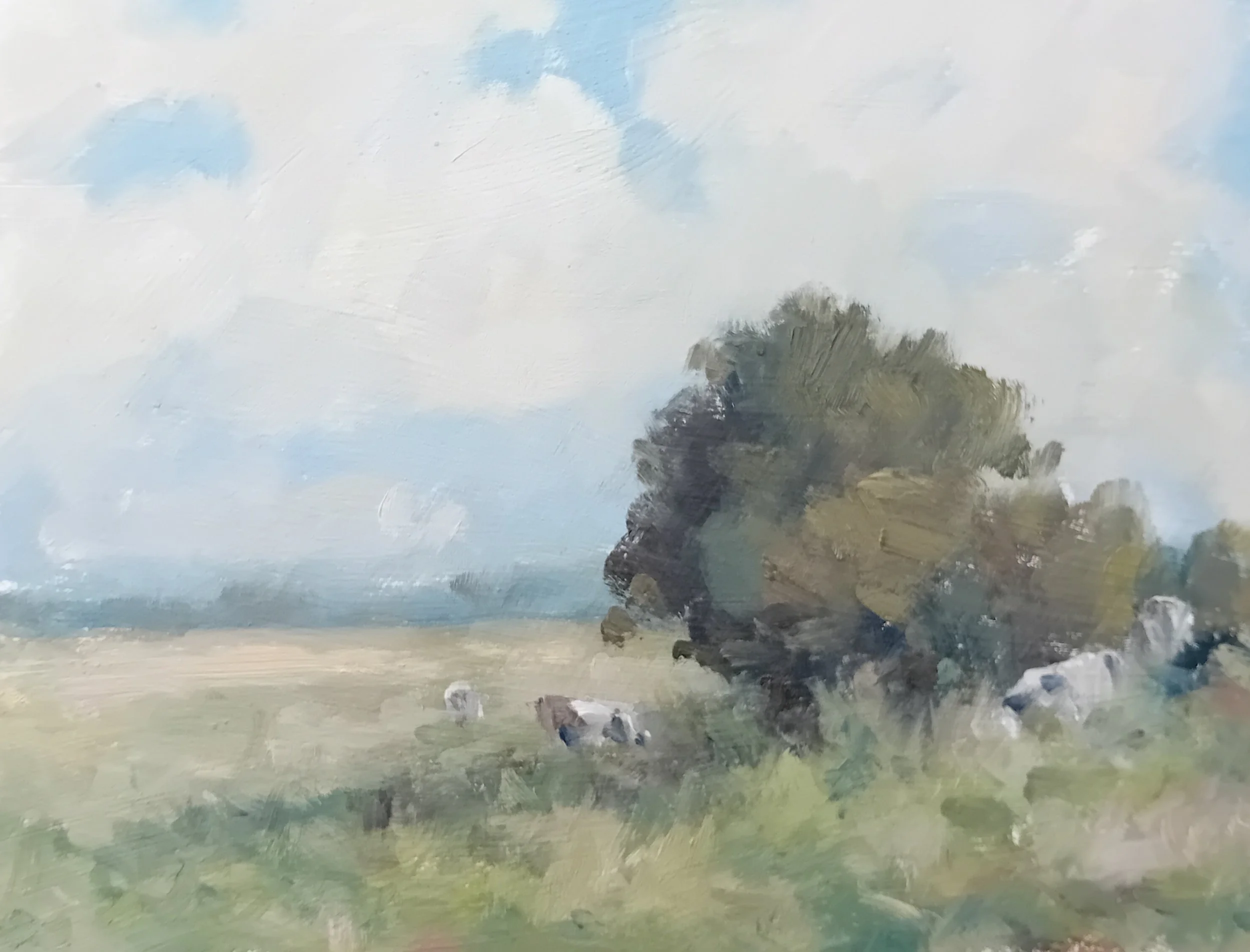 Sean O'Grady, trees and cows.jpg