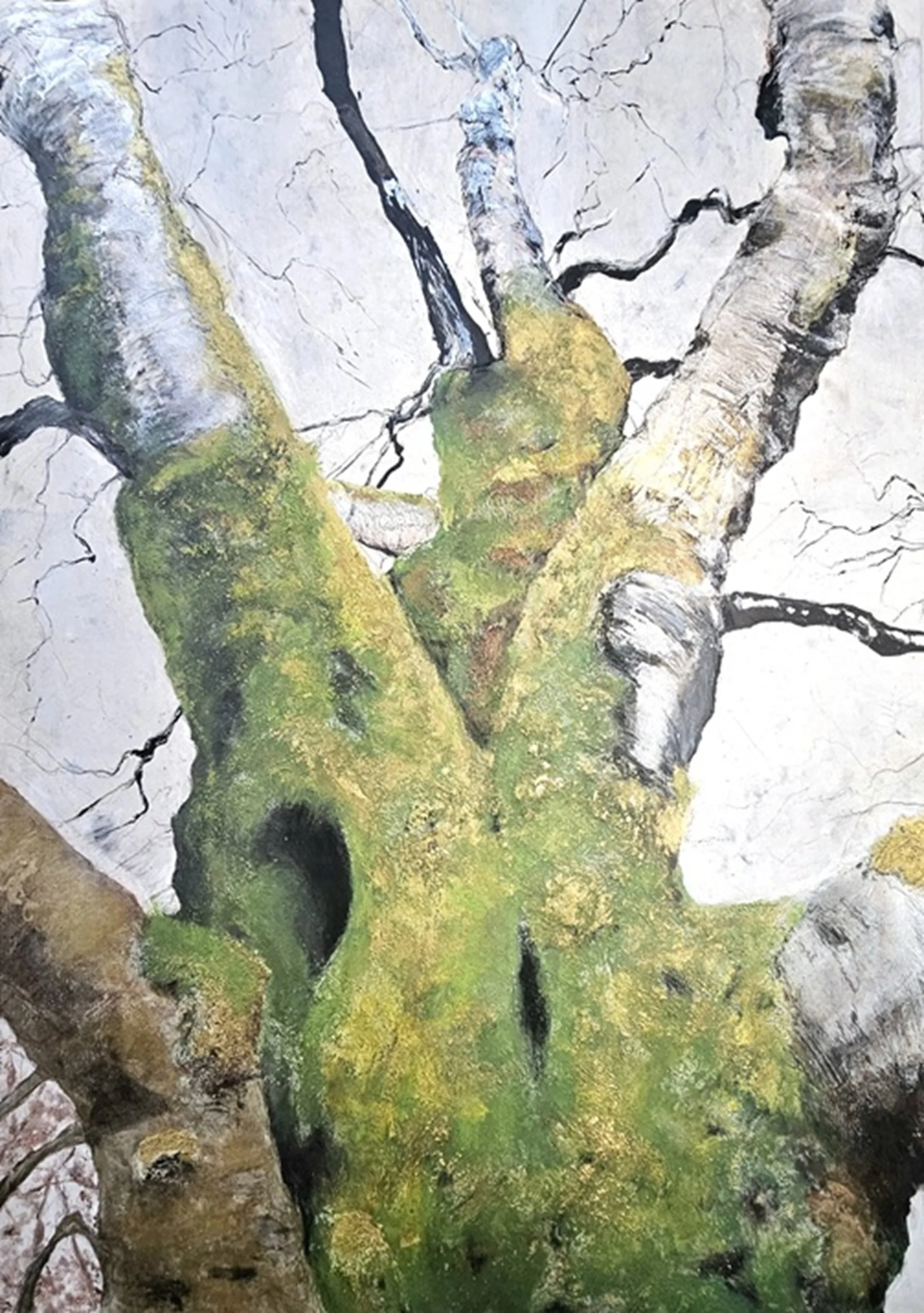 Stewart Taylor - 'Betula Nebula' - monoprint, pigmented render, tissue paper, pen, charcoal pencil, pencil, and acrylic - 71x100cm - £1800uf - 2026.jpg