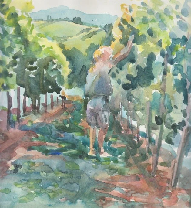 Rachel Mercer.Watercolour.Pignano.MassimoVines.21x23cm.July2024.  copy.jpeg