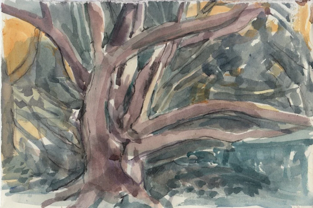 6.RachelMercer.Watercolour.TreesI would liketoClimb4.19x28cm.May2025s.jpeg