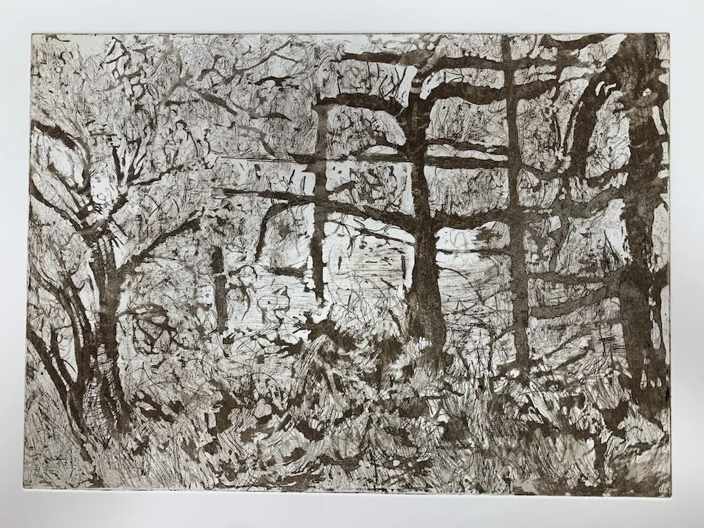 The Secret of Elfleda Road .jpg