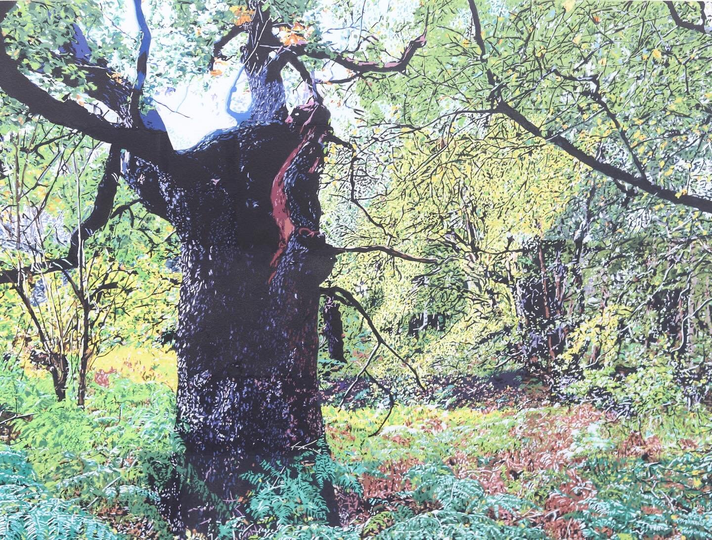 There are just a few days left to visit The Arborealists at Staverton Park

The Minories, 74 Hight St, Colchester, Essex CO1 1UE

ENDS 3 MAY

(10am - 4pm, free entry)

In autumn 2023, The Arborealists engaged in a two-year exhibition project in Stave