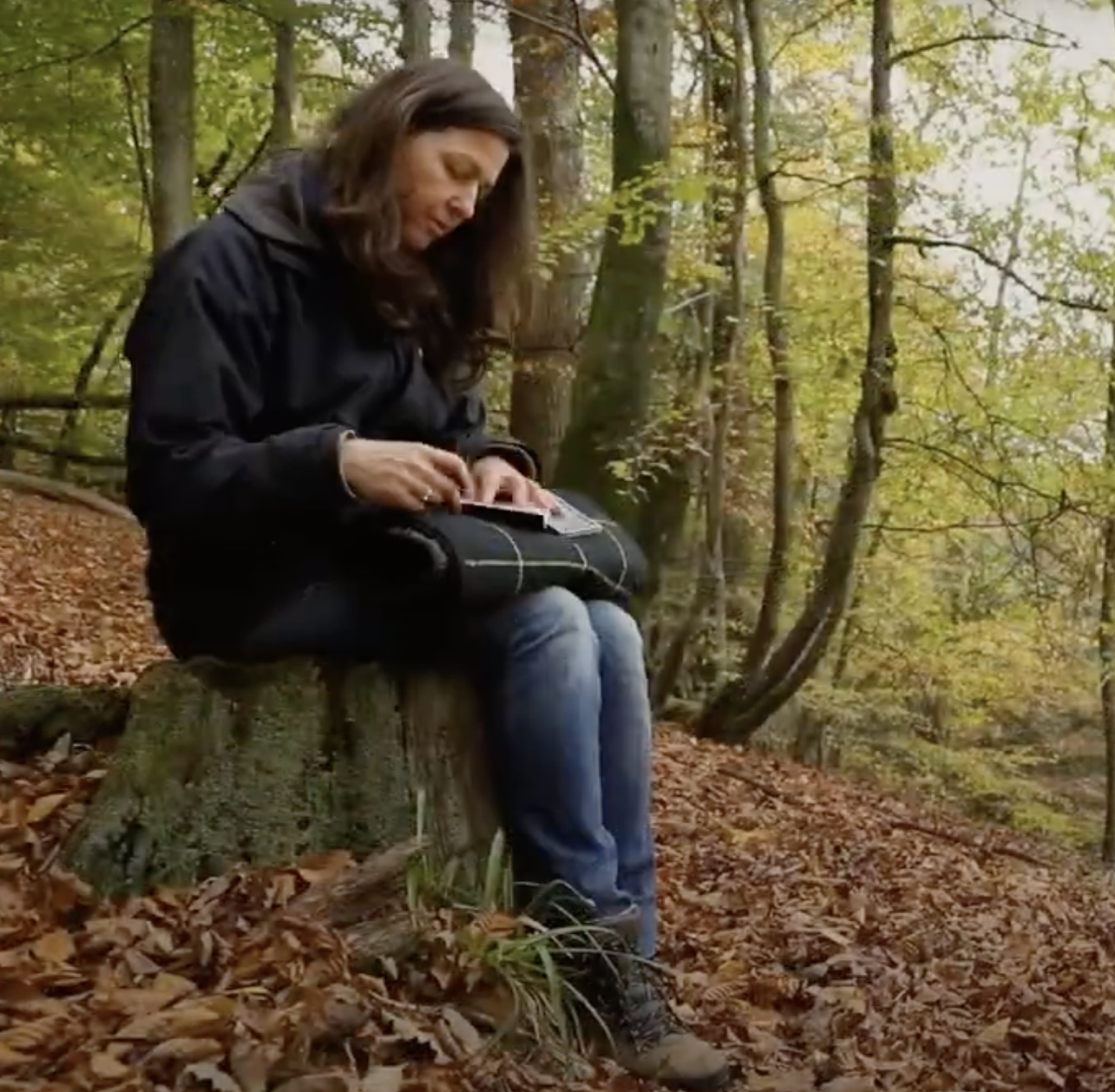 If Trees Could Talk Devon 2026 - International Art Bienniale