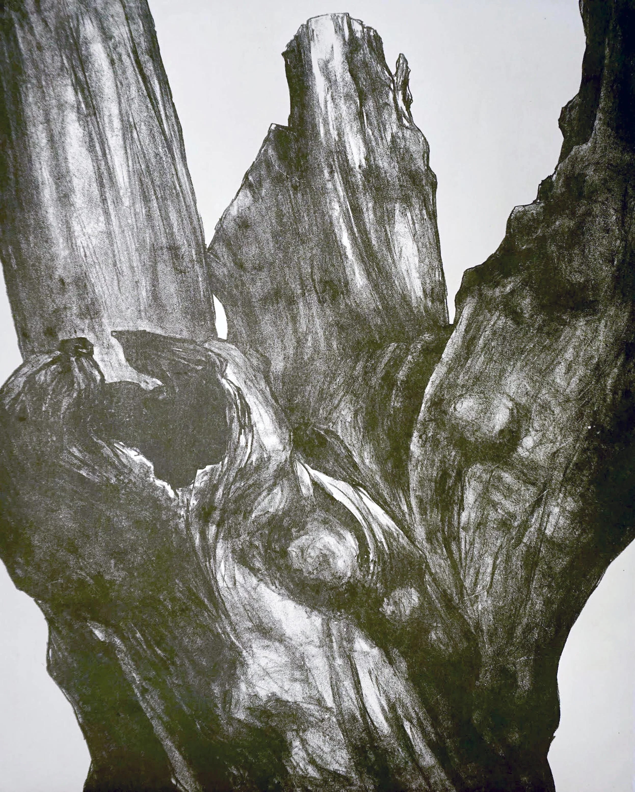 All Trees Are Political