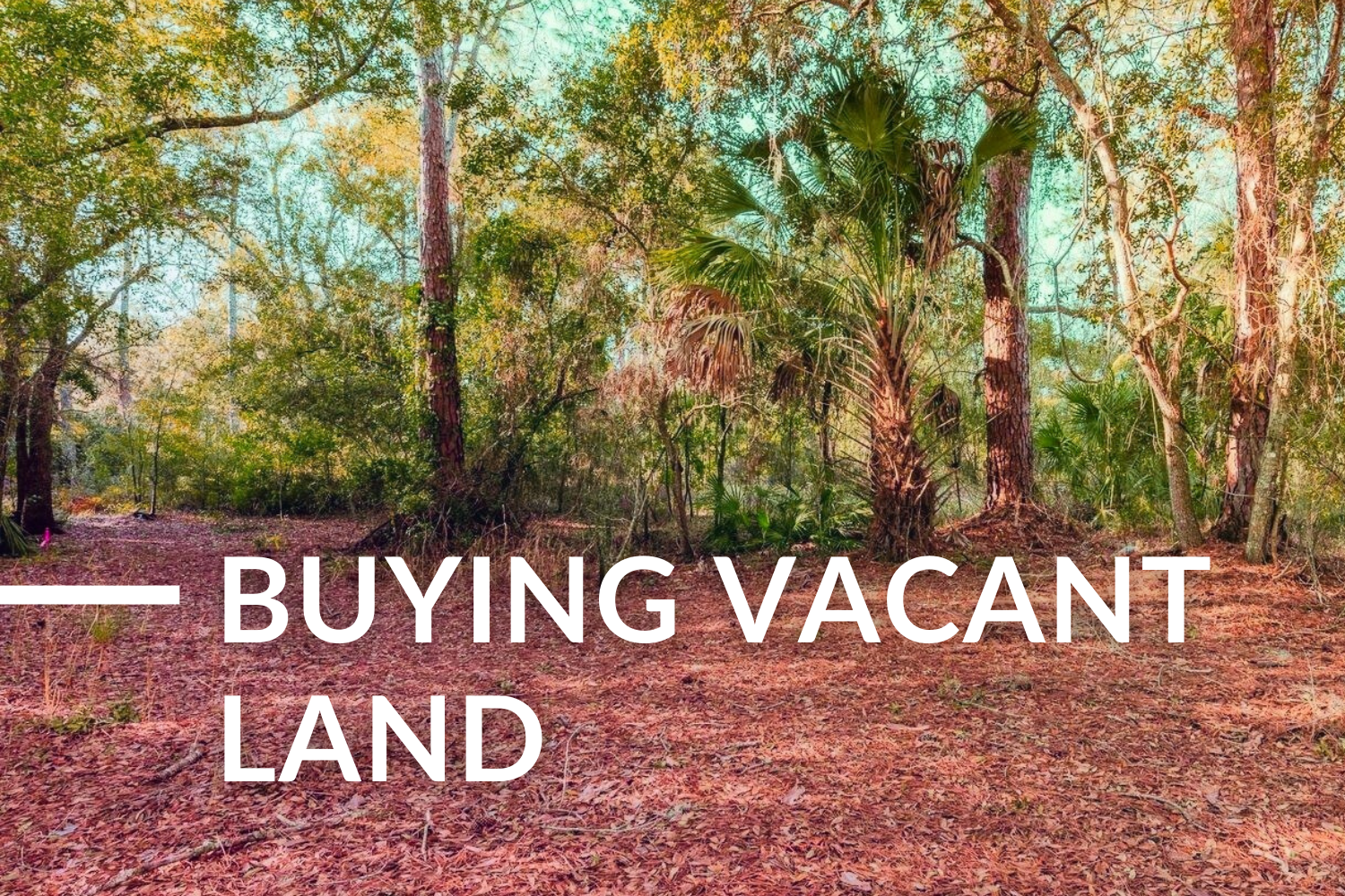 3 Things to Know Before Buying Vacant Land in Tampa Bay