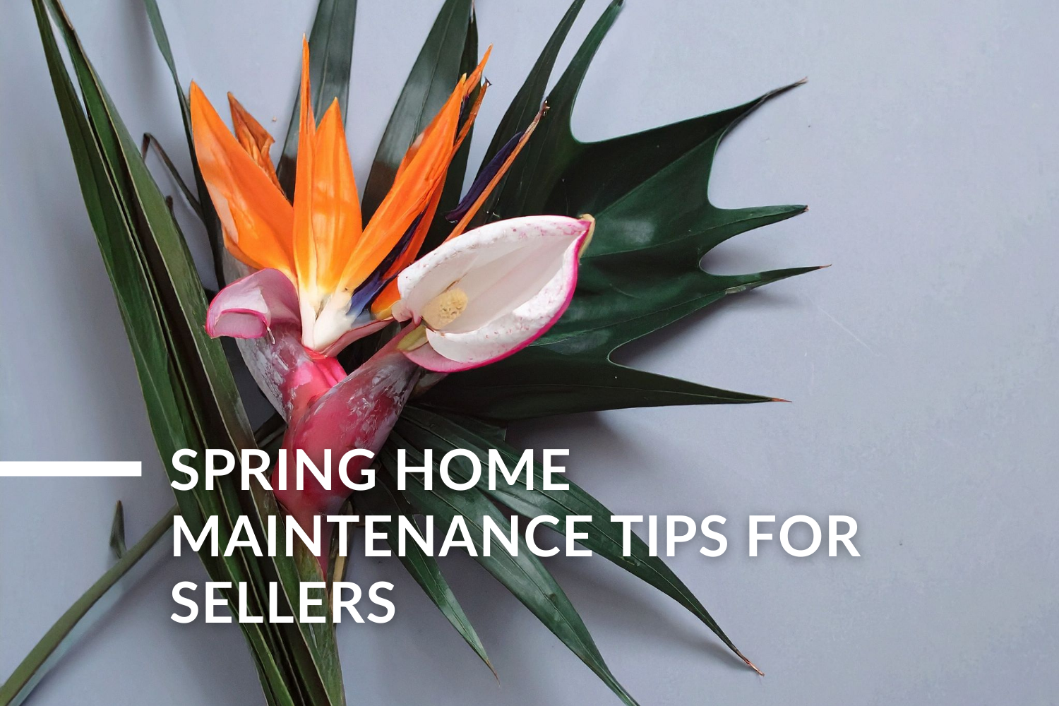 Is Your Tampa Bay Home Ready for Selling Season? Here's What to Do This Spring
