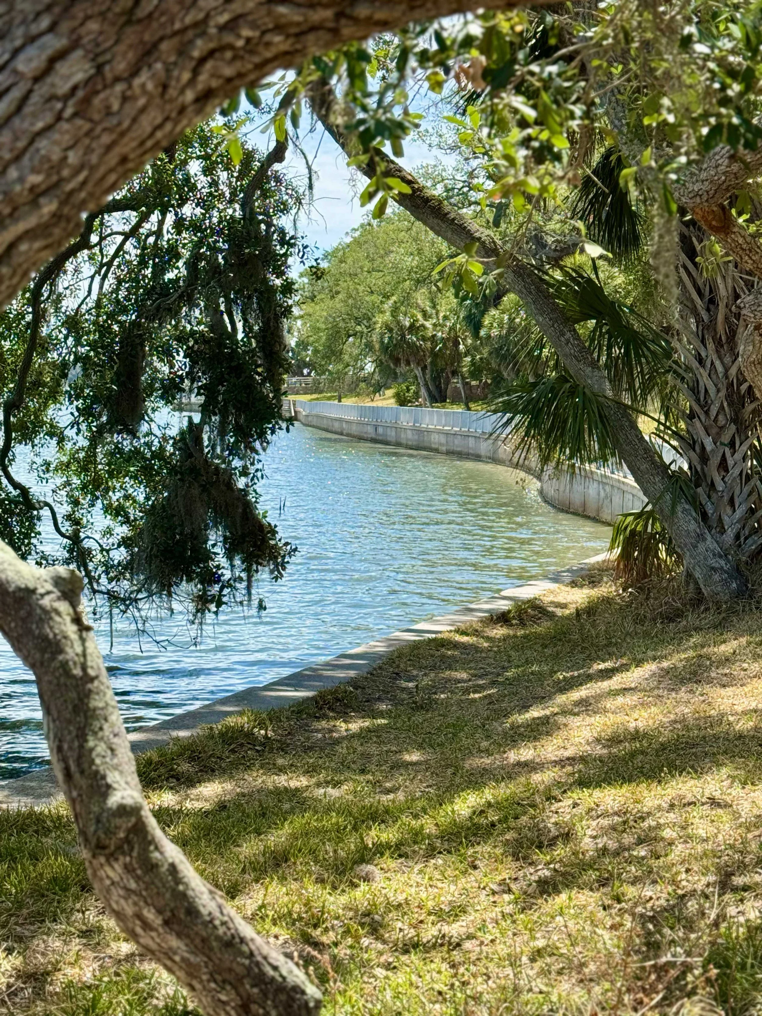 Phillippe Park, Safety Harbor