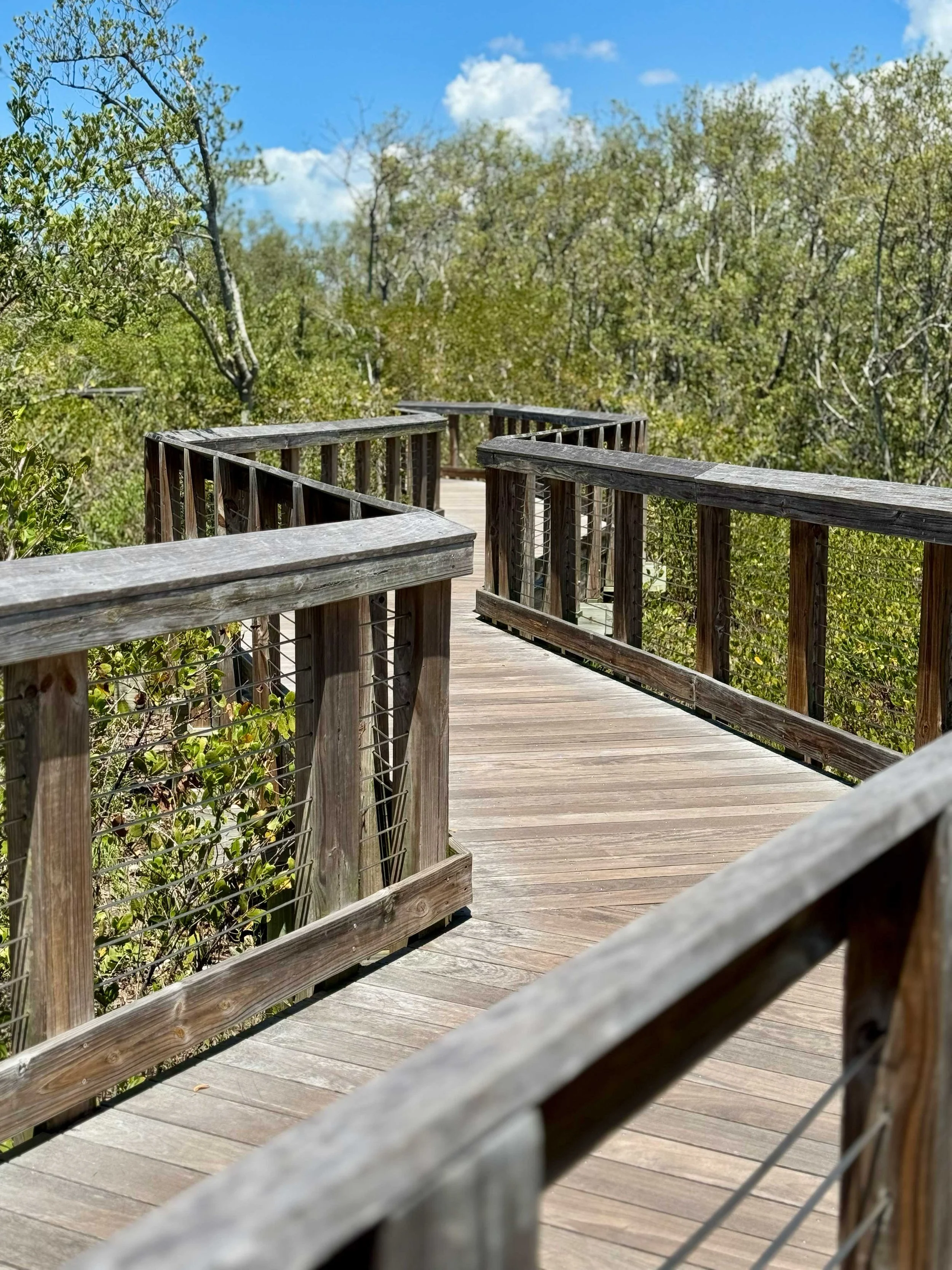 Waterfront Park Boardwalk, Safety Harbor