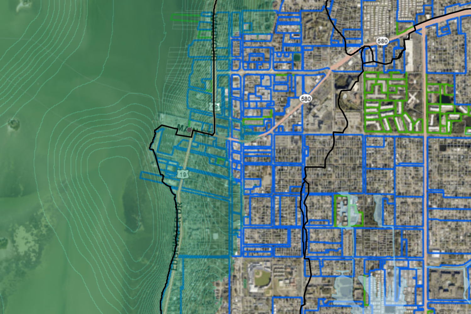 screenshot of downtown dunedin flood map