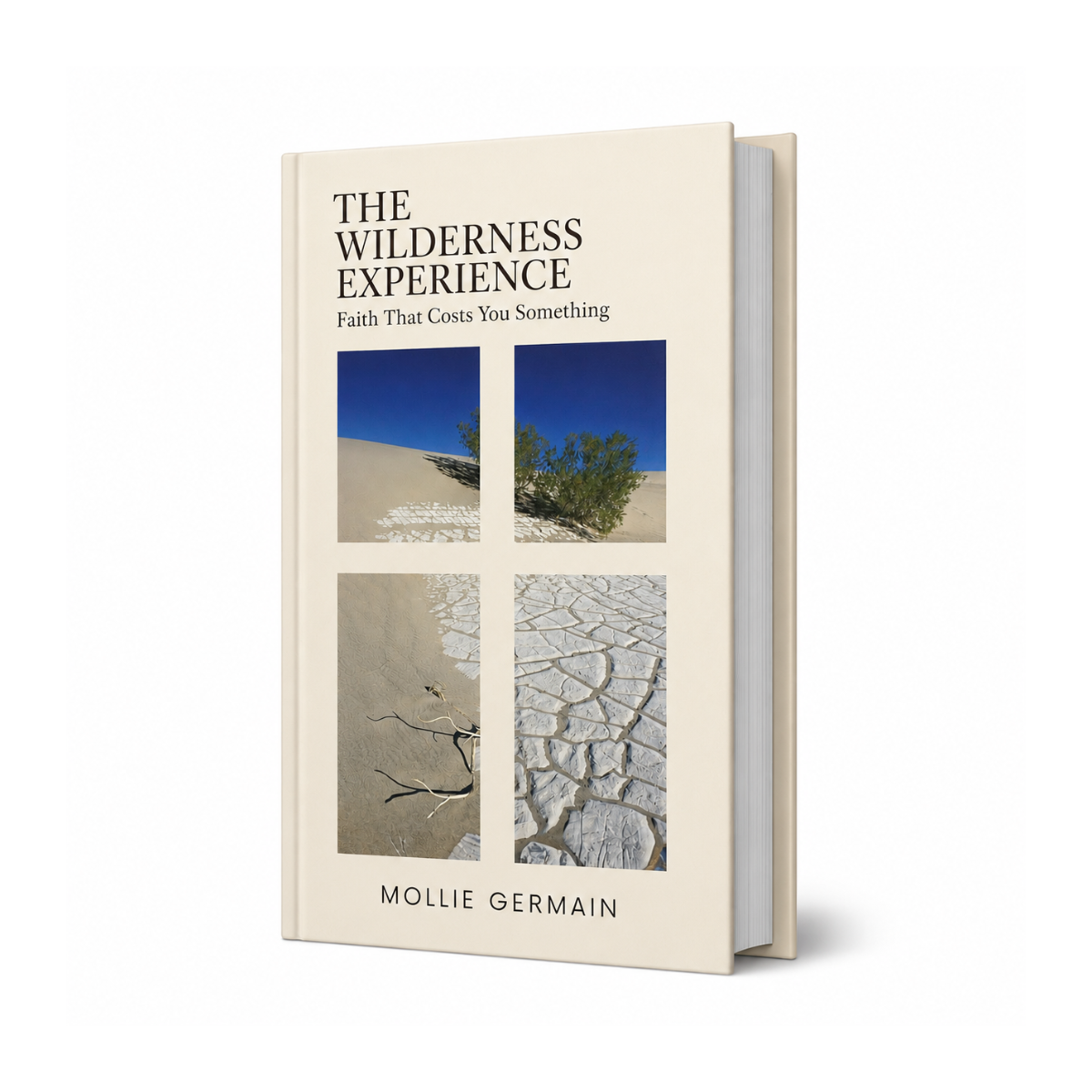 The Wilderness Experience