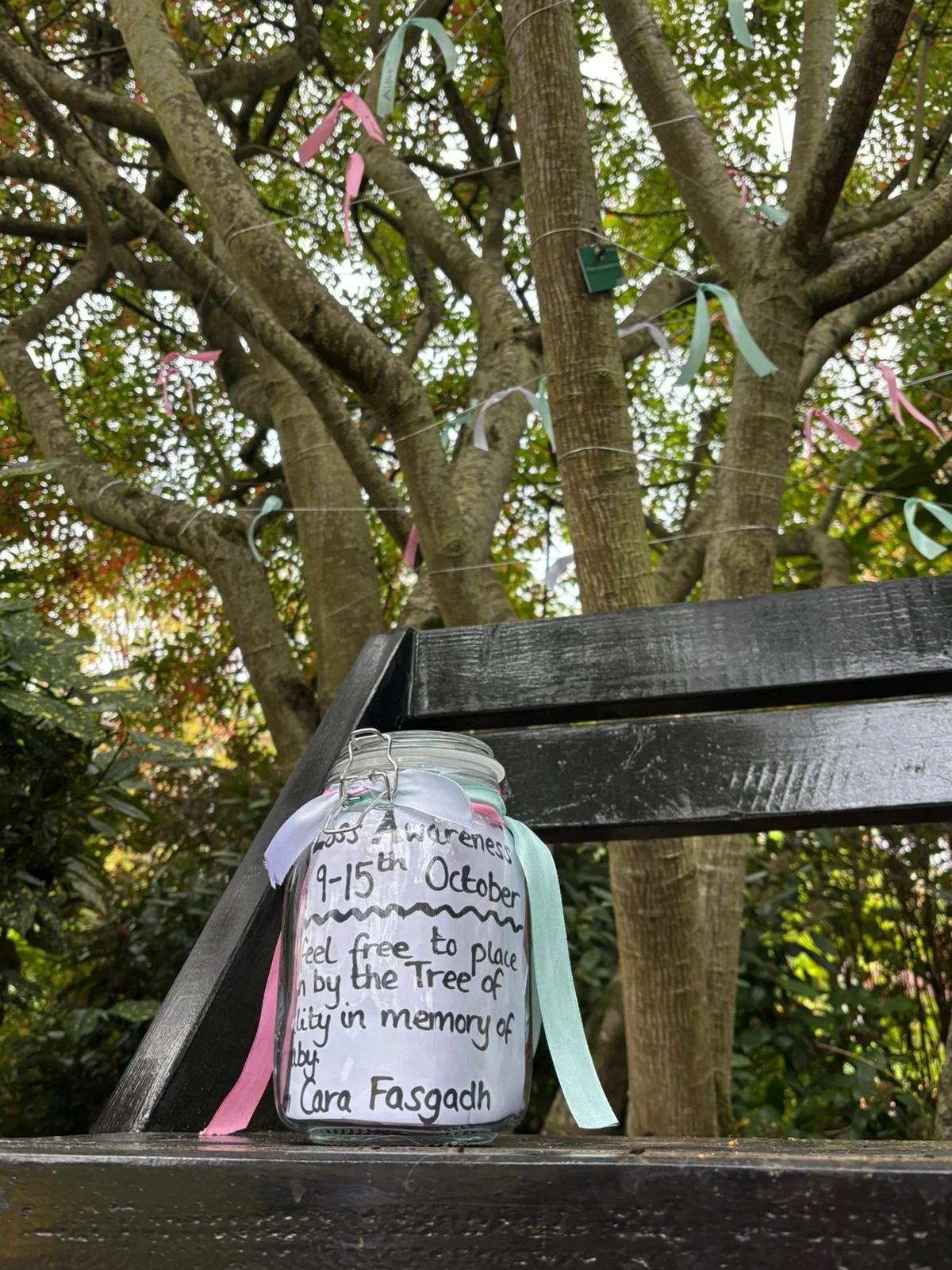 Ribbon Display 2025.jpeg