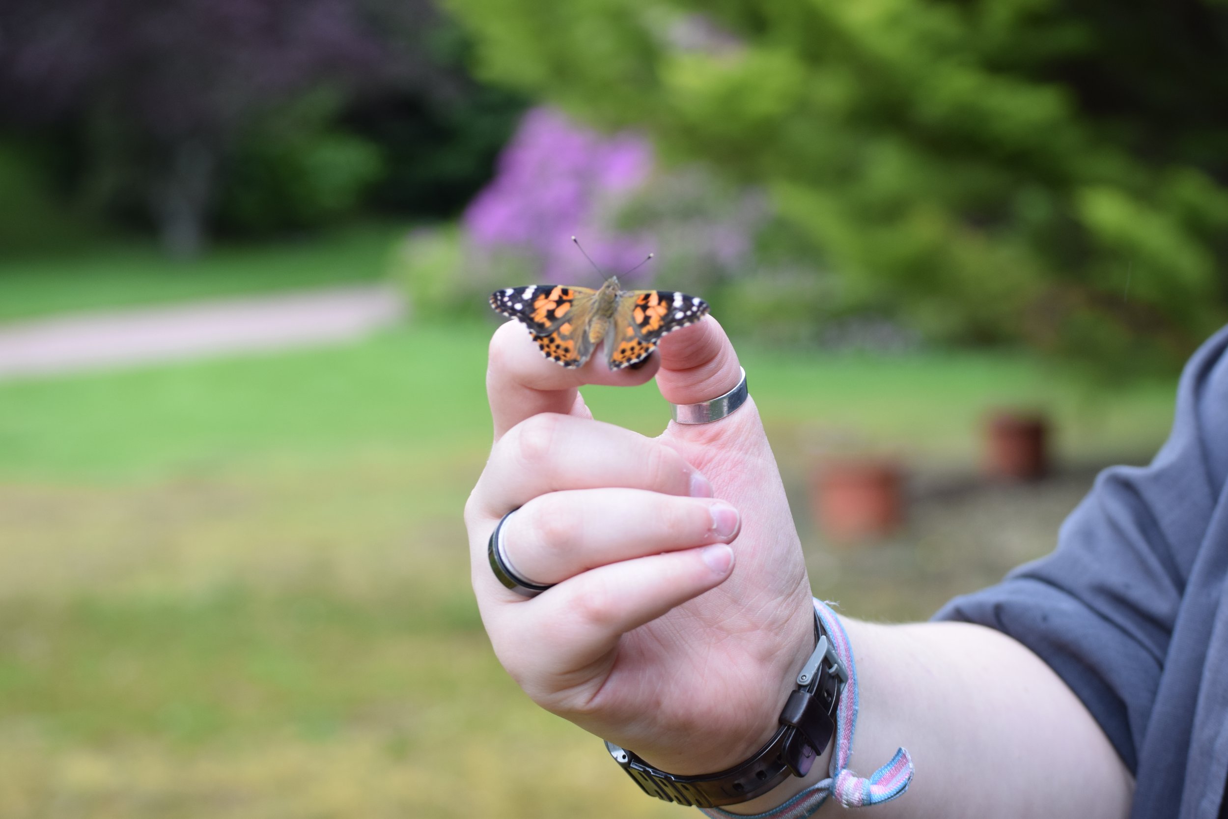 DSC_1514.JPG