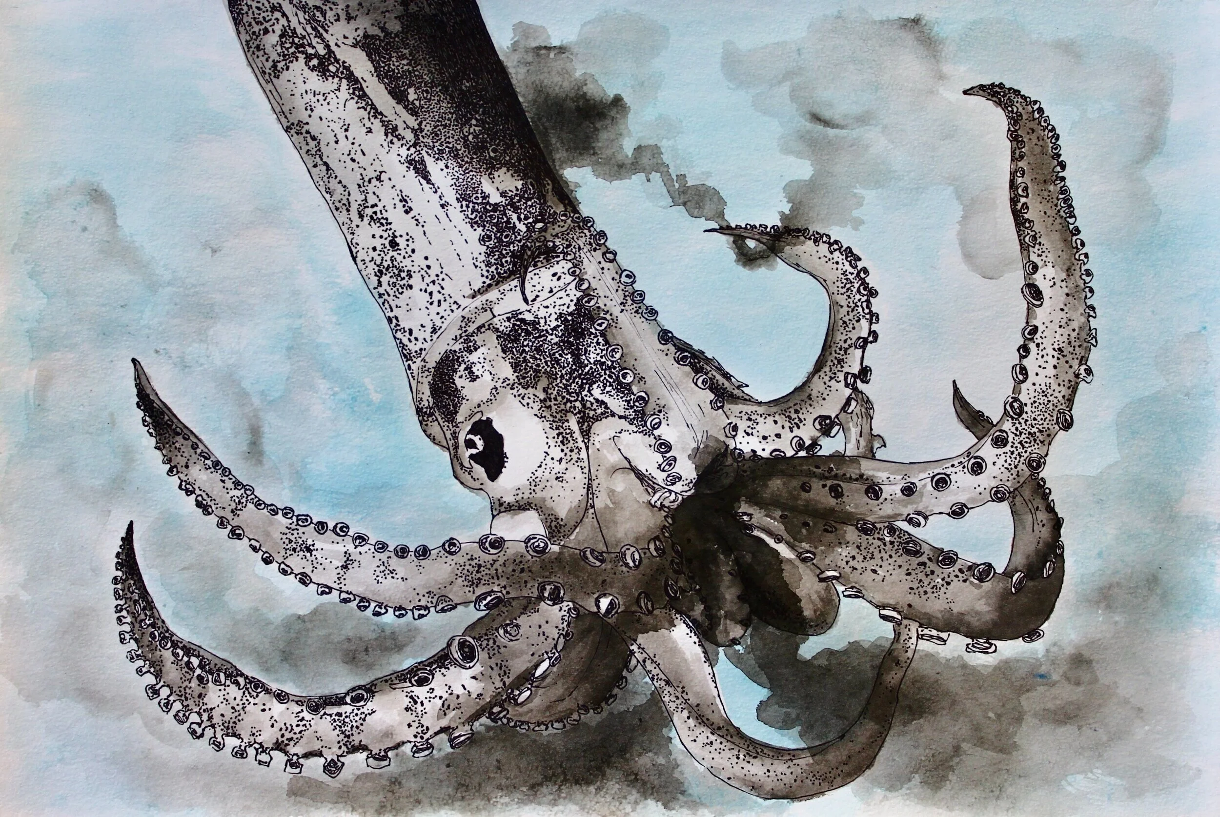 Squid, 2016 Ink on watercolor paper