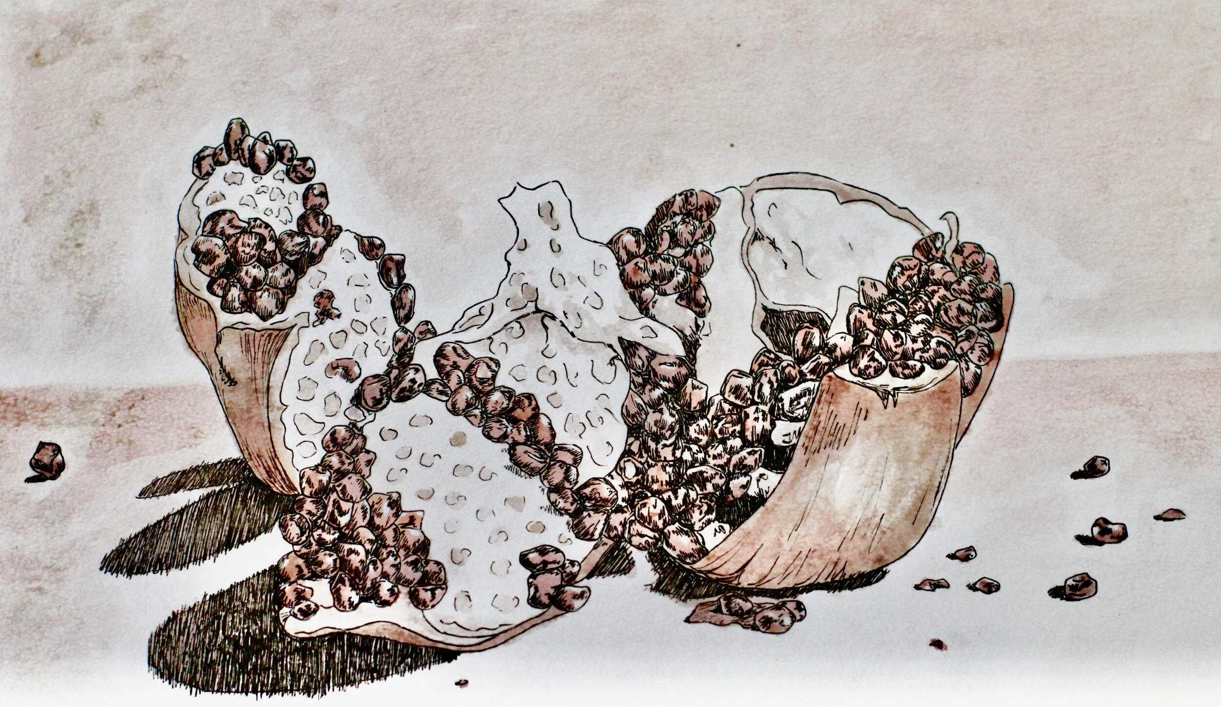 Pomegranates, 2017 Ink and pomegranate juice on watercolor paper