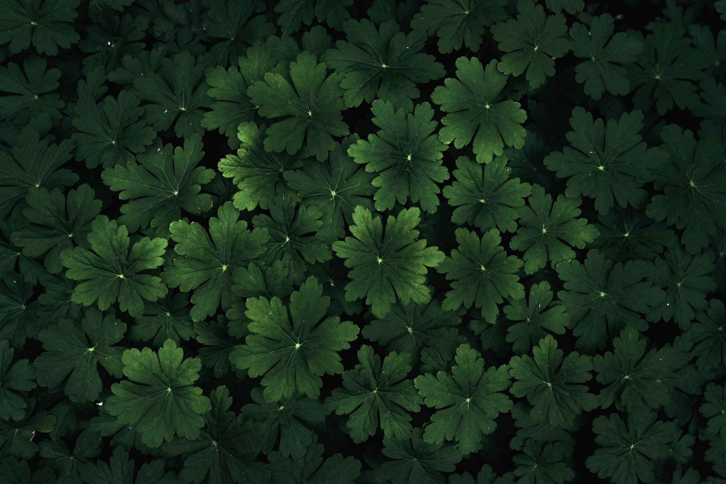 unsplash-image-uDtz8BAoMYw.jpg