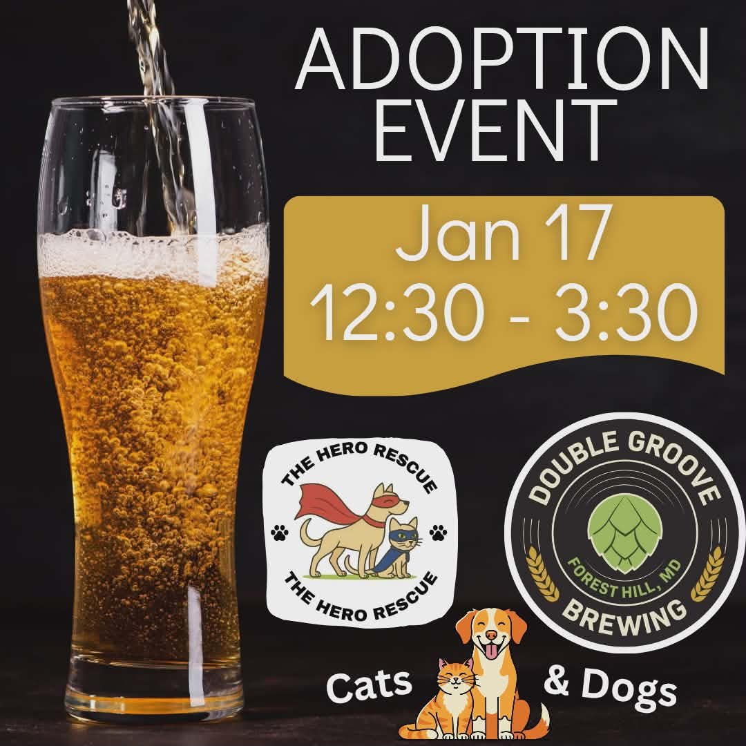 Adoption Event with The Hero Rescue     