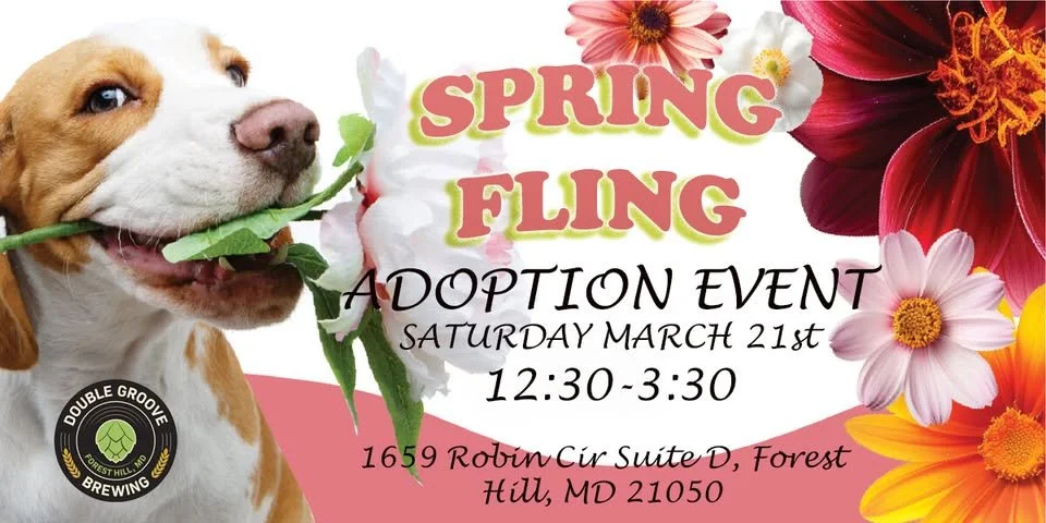 Adoption Event with Saving Grace Animal Rescue     
