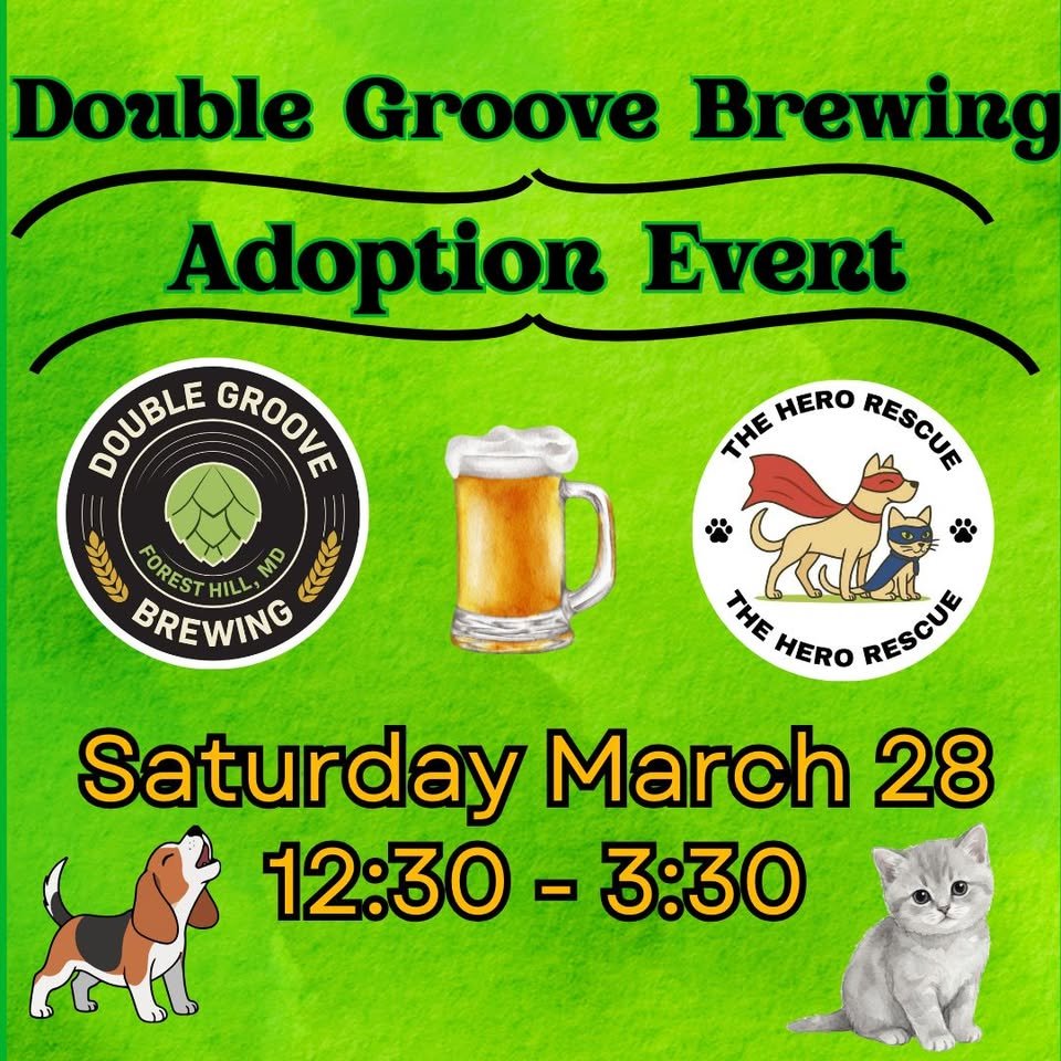 Adoption Event with The Hero Rescue     