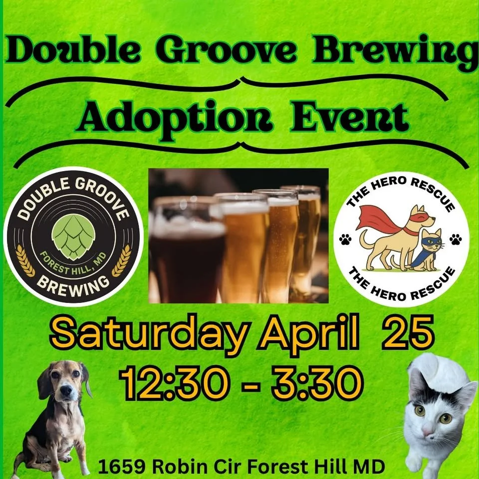 Adoption Event with The Hero Rescue      