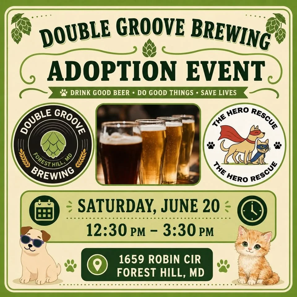 Adoption Event with The Hero Rescue      