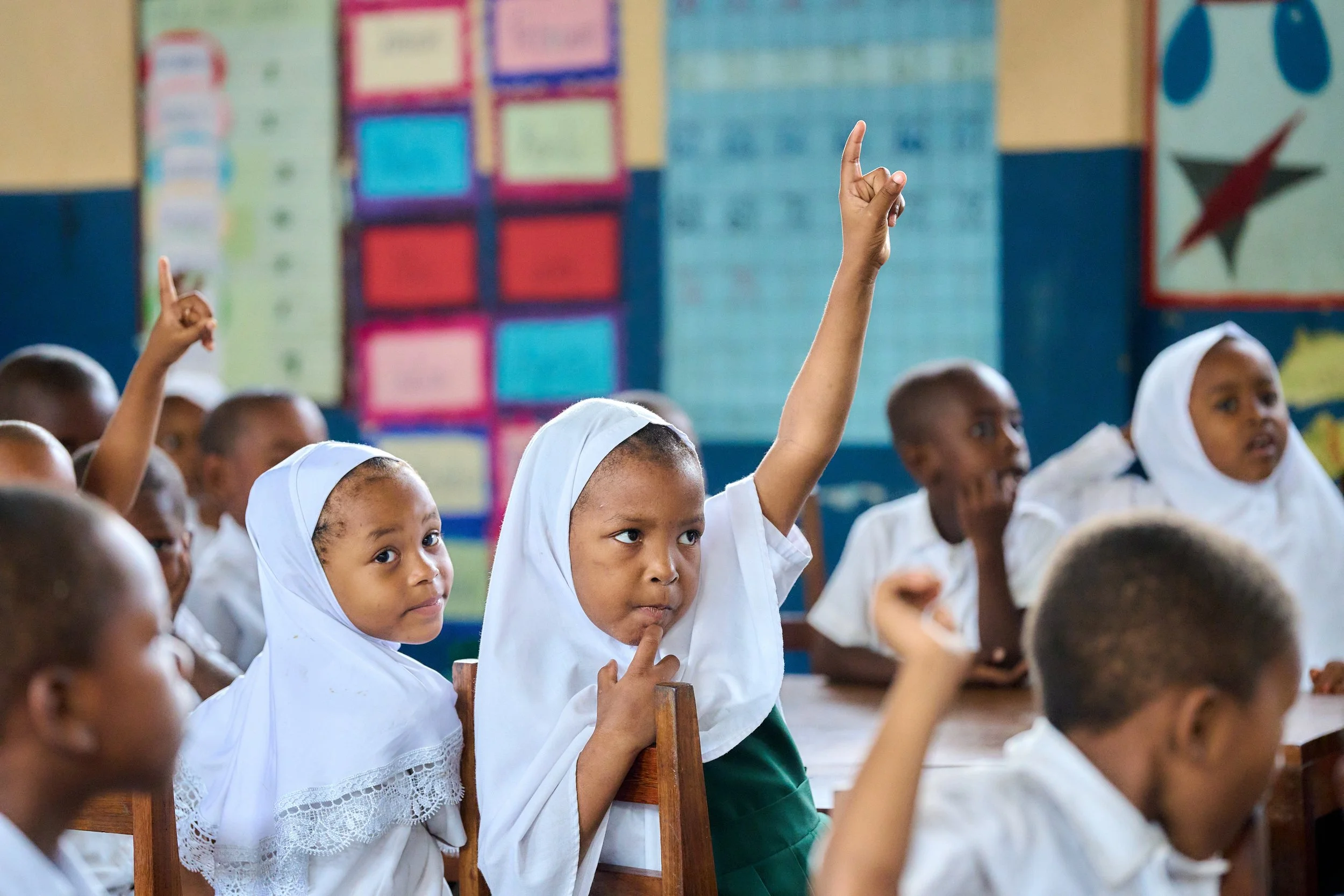 IPNEd urges MPs in donor parliaments to act for multilateral funding for education