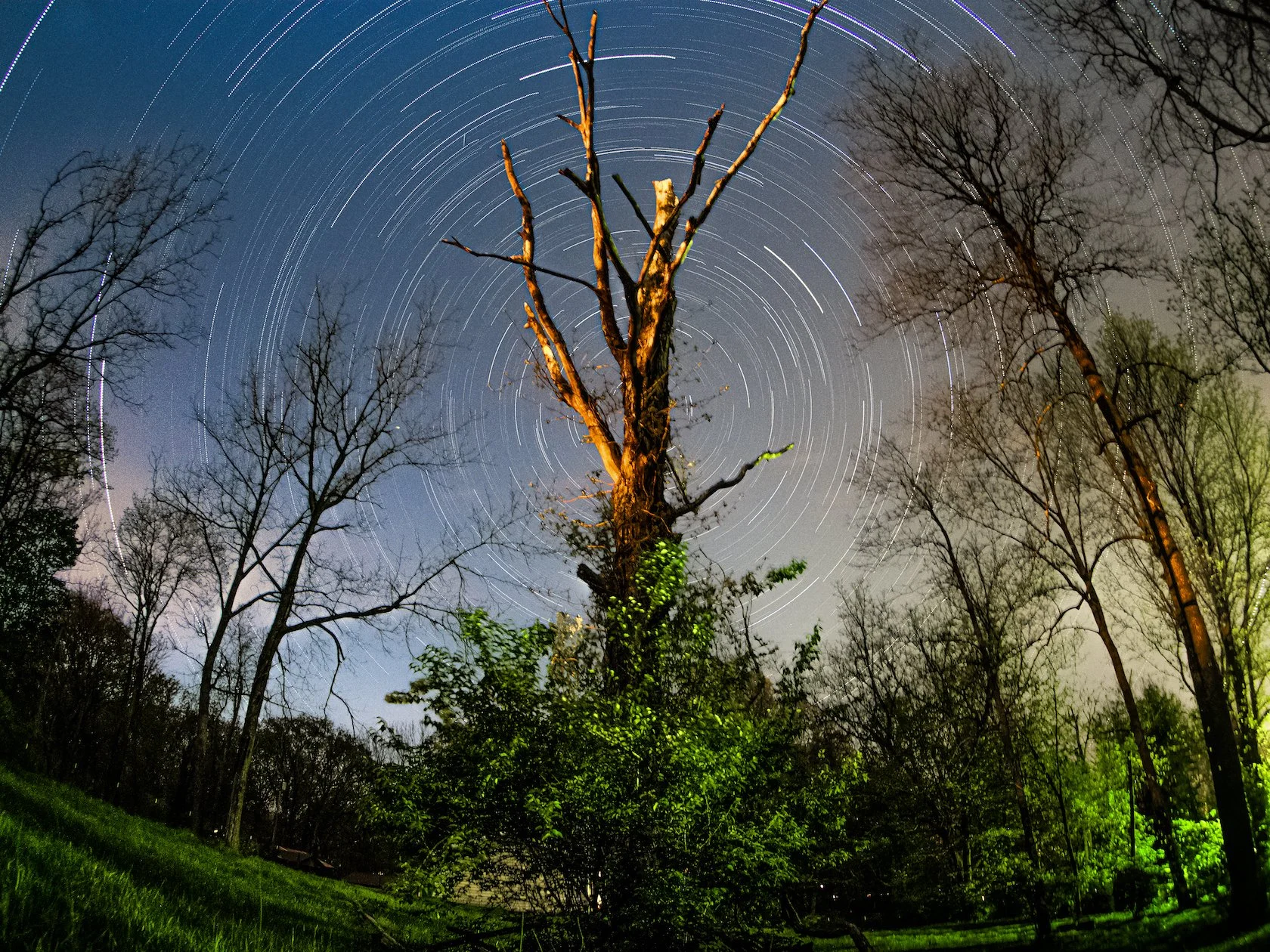 backyard startrail copy.jpg