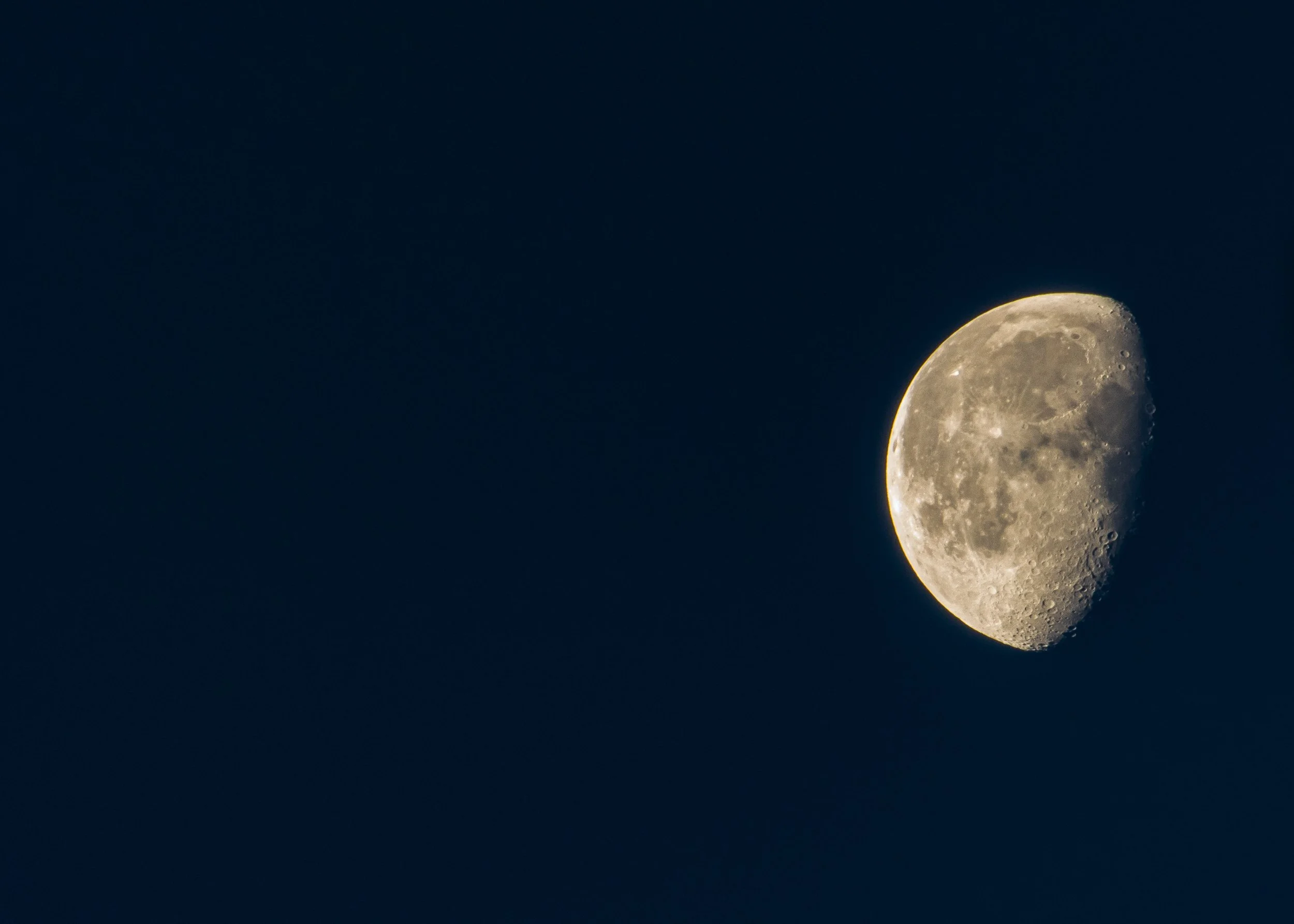 DSC_0447 2.jpg