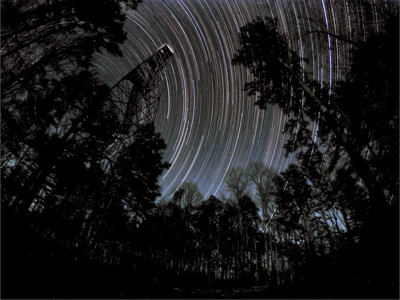 Hickory trails2 copy.jpg