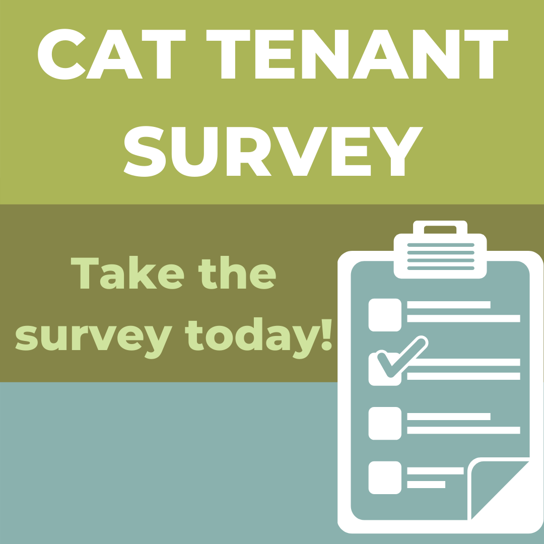 How has COVID impacted you as a renter? We need to know.