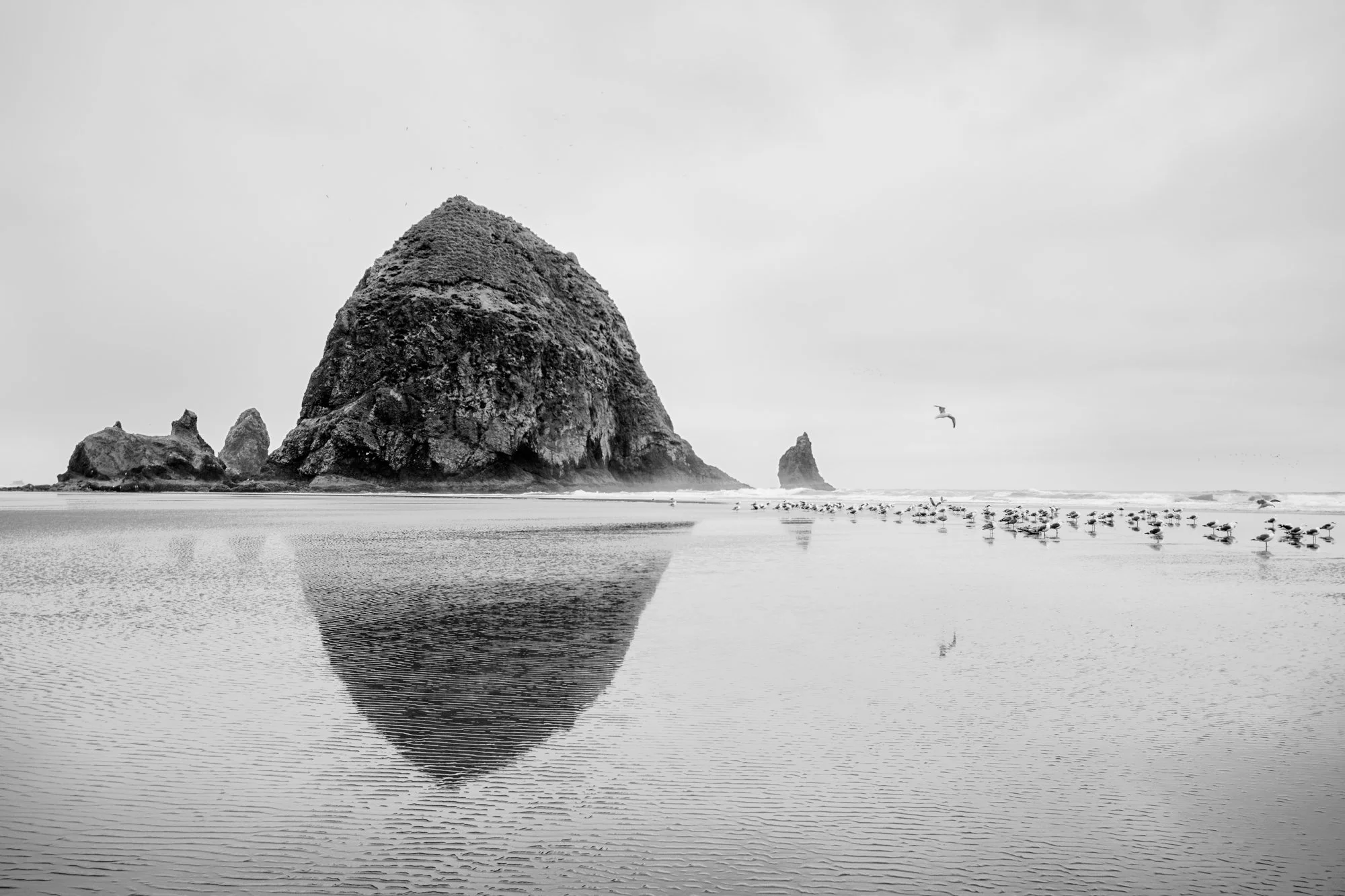 L1000341 PRINT No Border.jpg