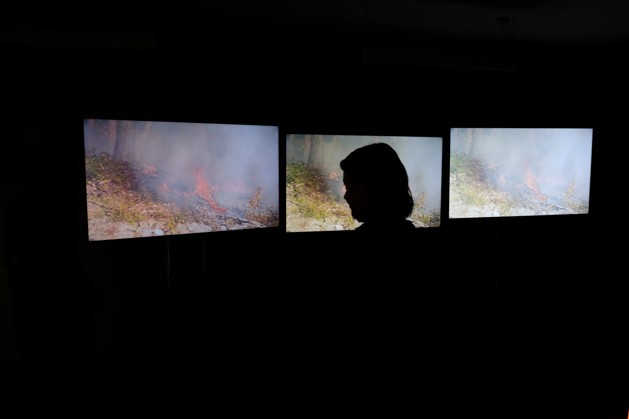 Silhouette of a person observing three screens displaying images of a burning forest.