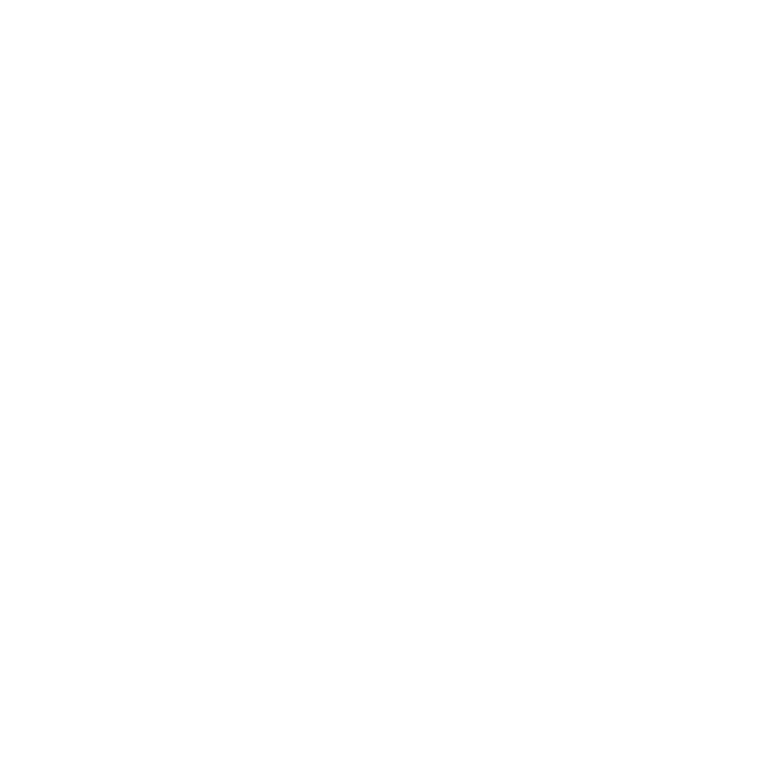 Swagelan logo with stylized white text on a black background