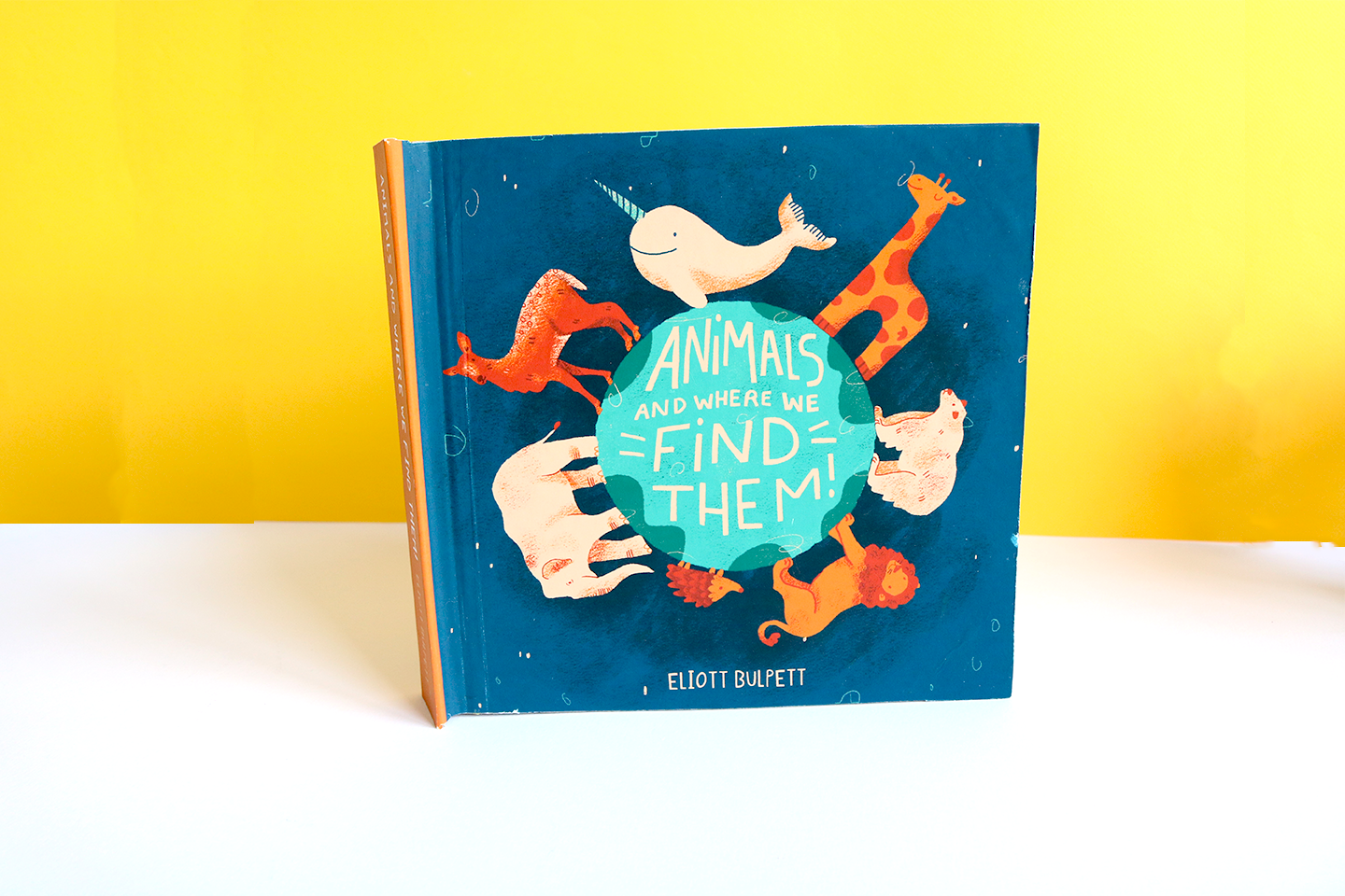 Animal Pop-Up Book — Eliott Bulpett