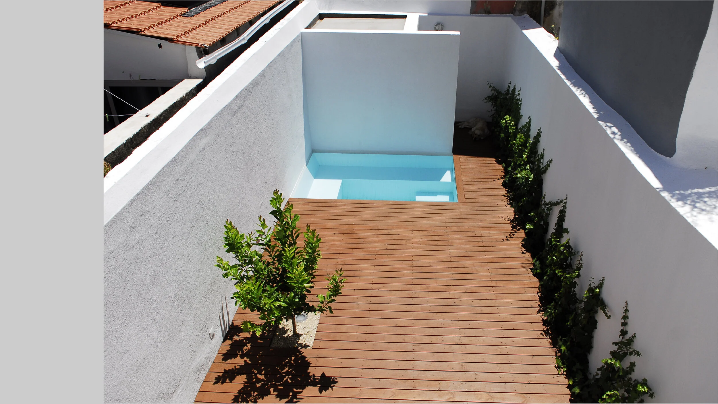 casapb1-10.jpg