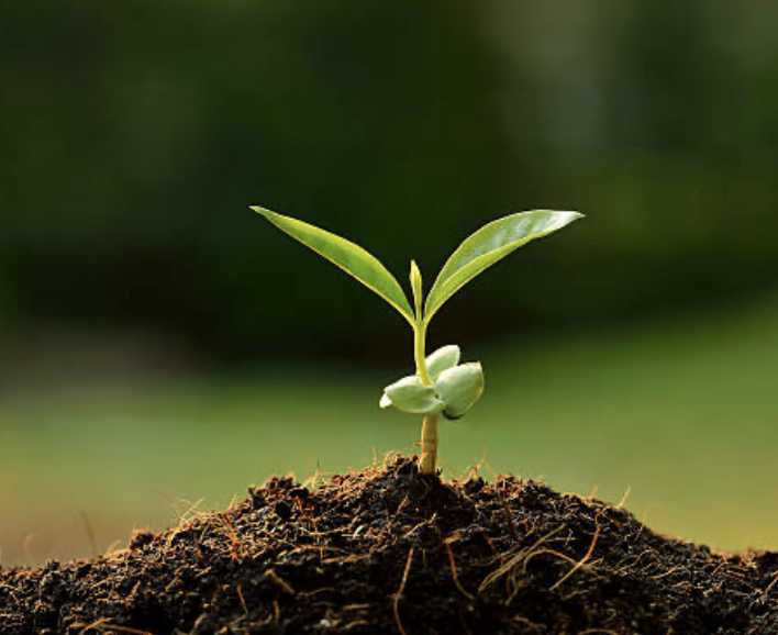 How I am relaxing- March