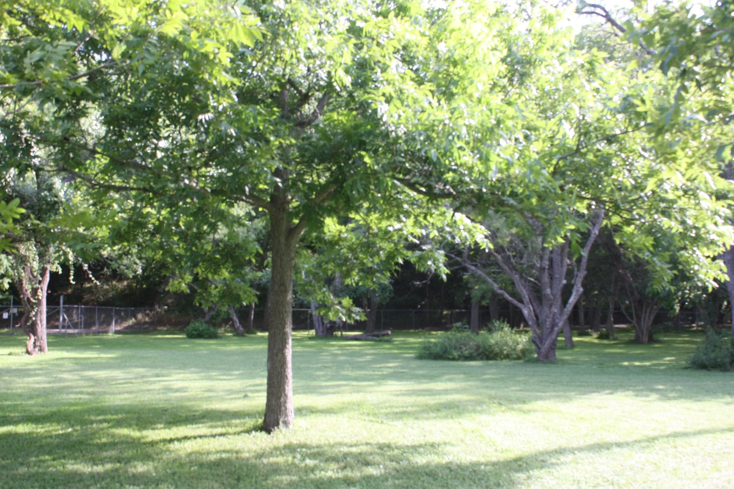 GRRR View of Electric Gate.JPG