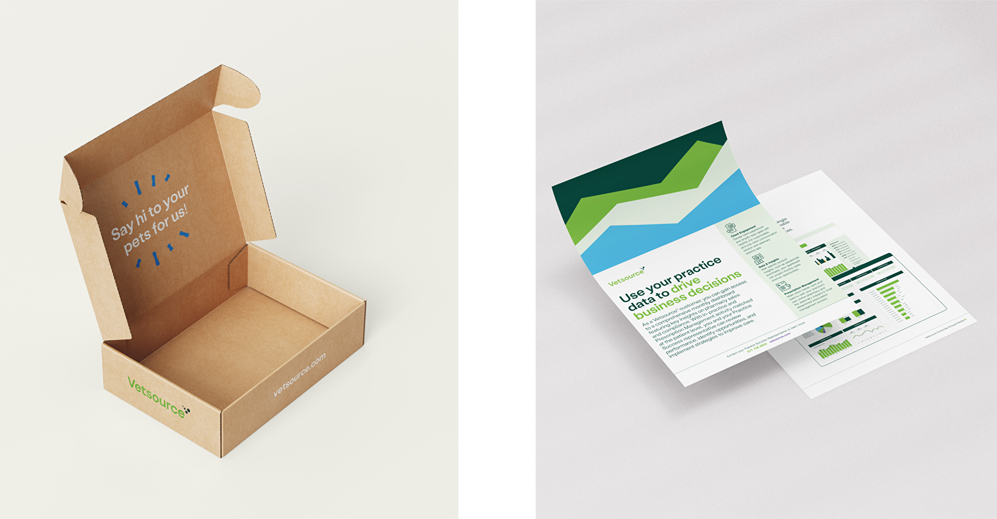 Vetsource_Execution_7_020d4294749750daa11b9b866154bc17 (1).png