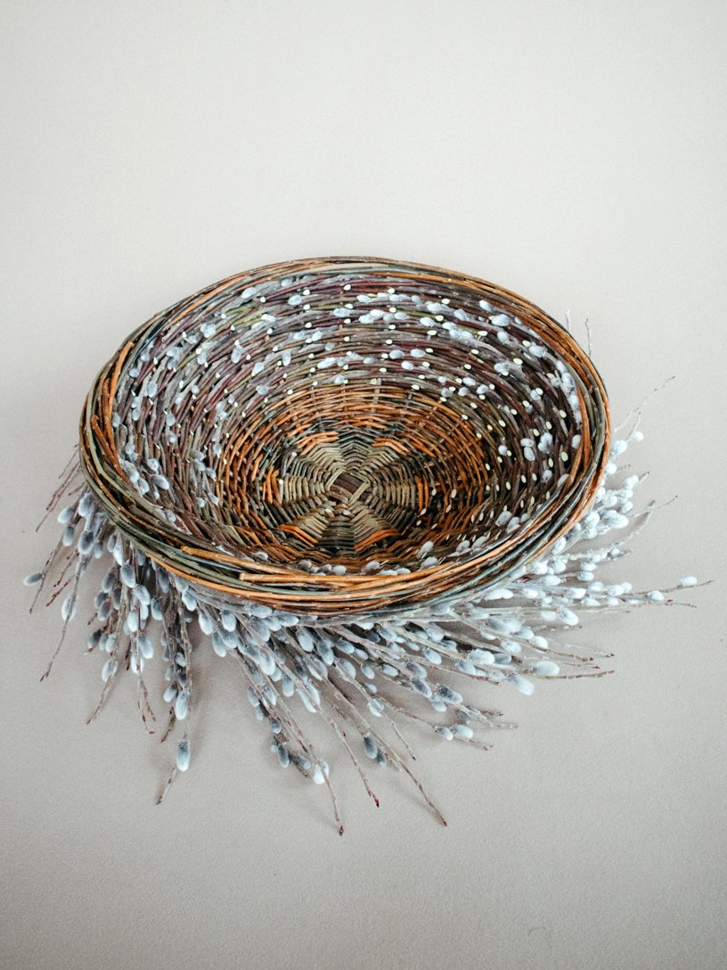 Coiled Catkins Top.jpg