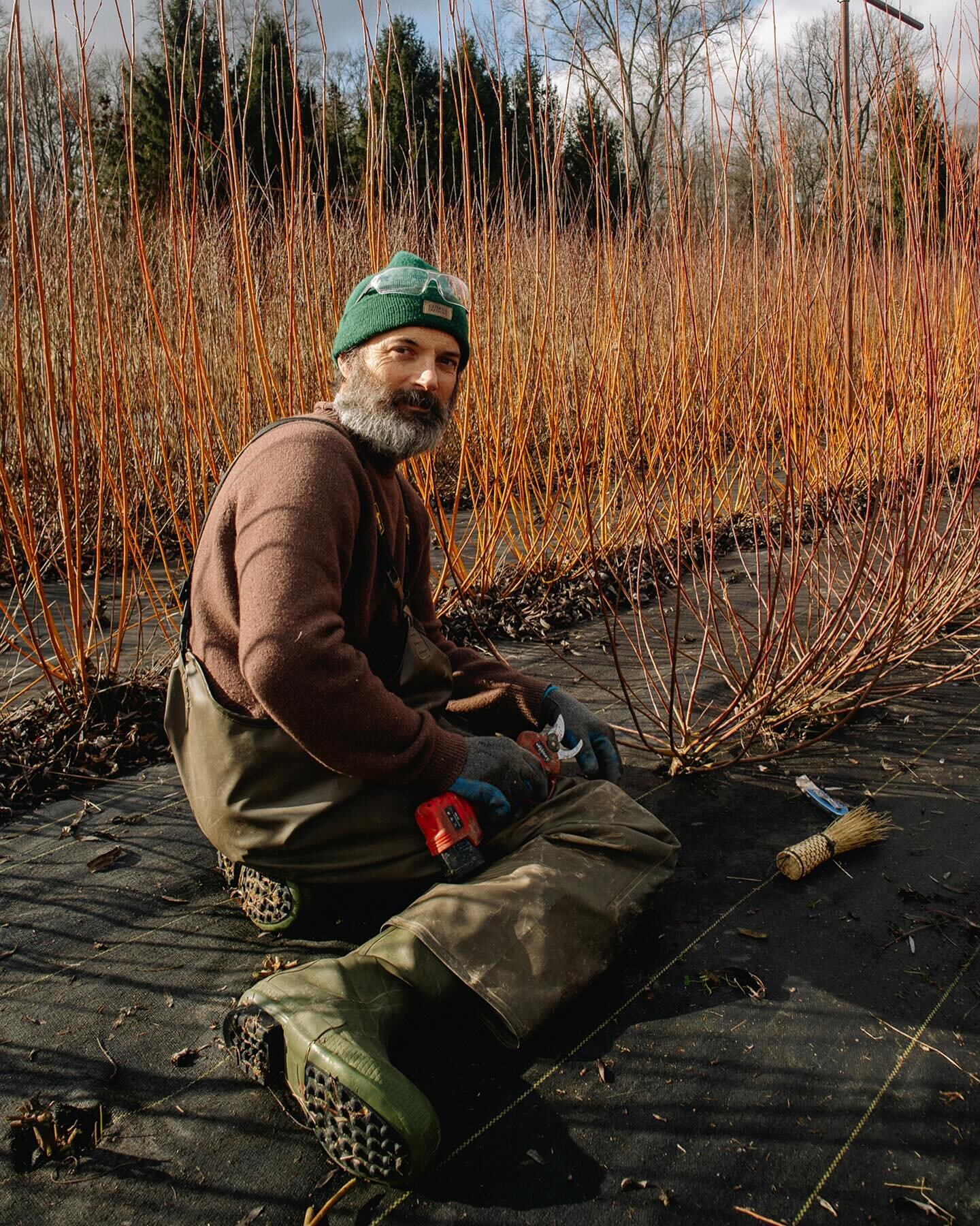 Dan in his harvest mode/happy place amongst the willow ✨

&bull;

#willowgrowing #basketmaker #willowcraft #basketry #handmadehomegrown #handcrafted #willowweaving #portraitphotographer