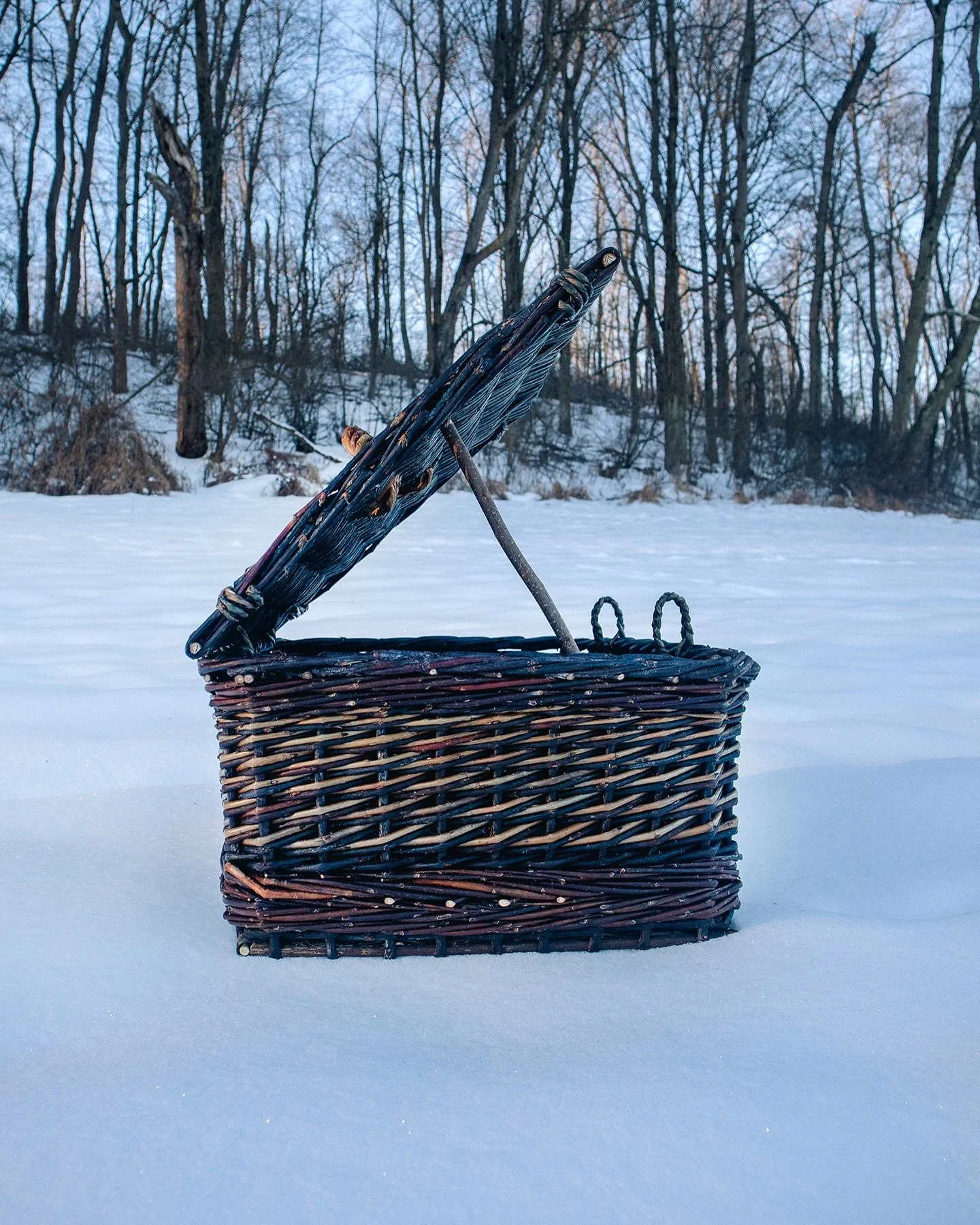 Amidst the blinding blanket of snow, some January color ❄️ 

&bull;

#willowbasketry 

#homegrownhandmade

#winterlandscape