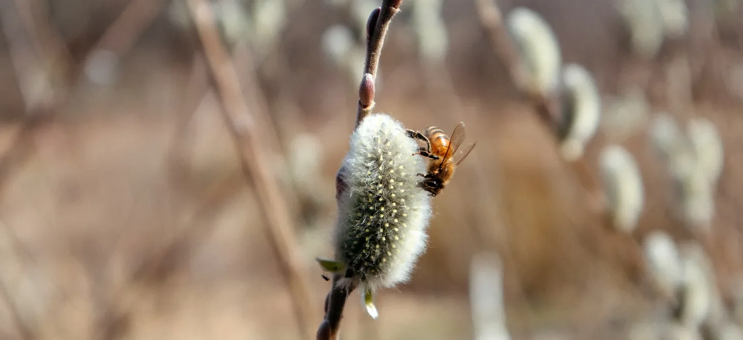 Field Notes Archive - March 2024