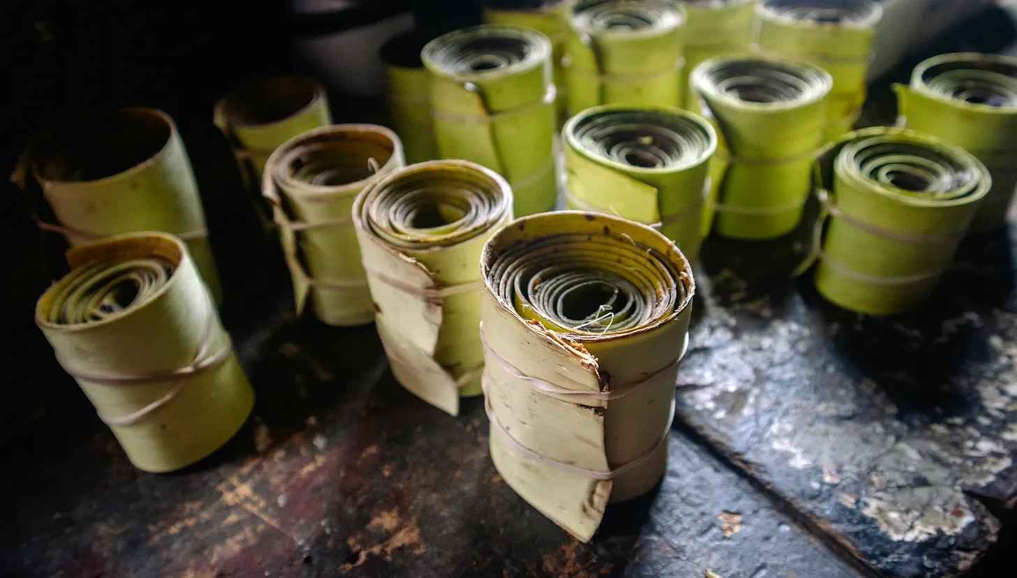 Field Notes Archive - May 2025